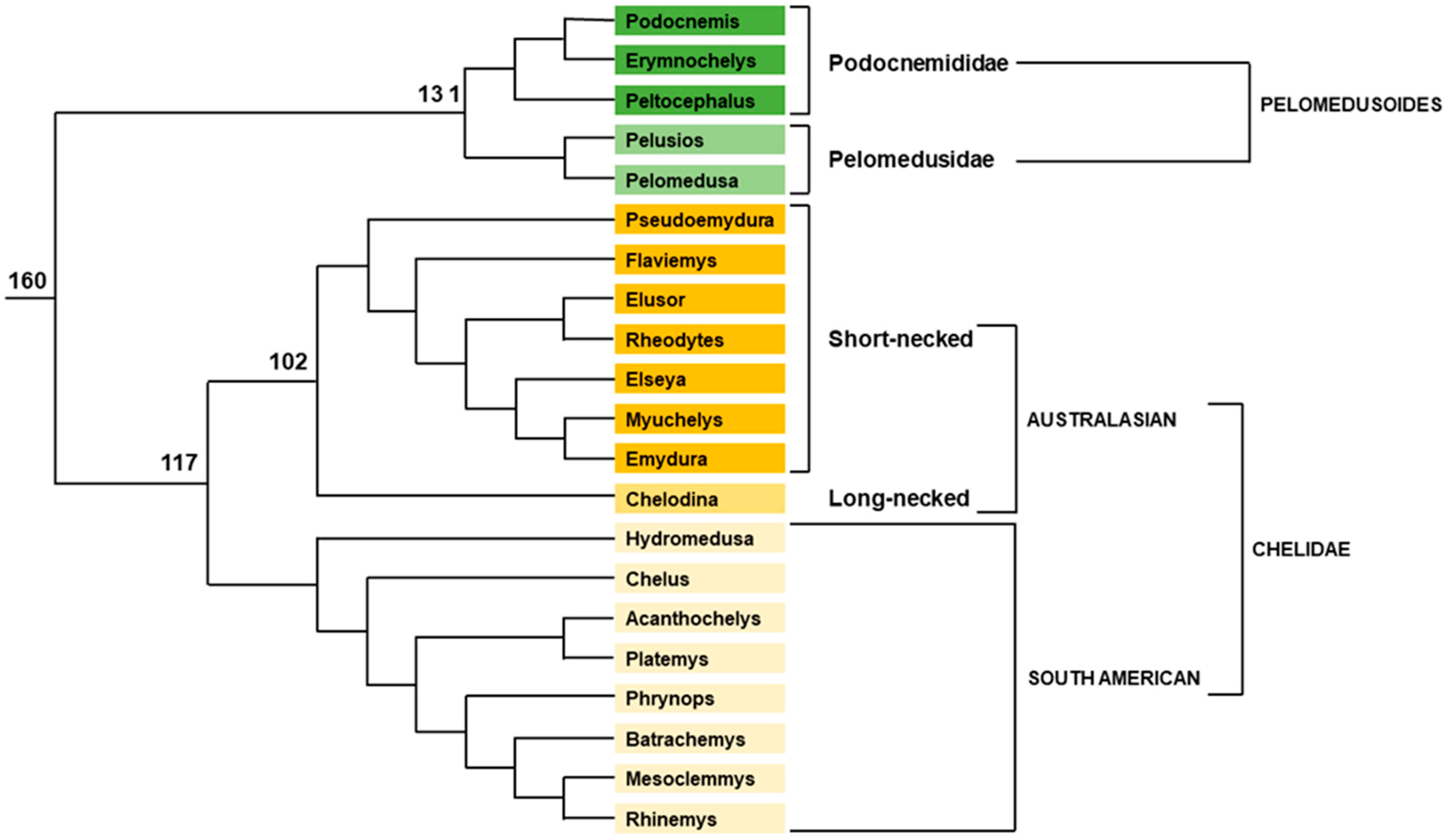 Genes 12 01822 g004 Genes 12 01822 g004