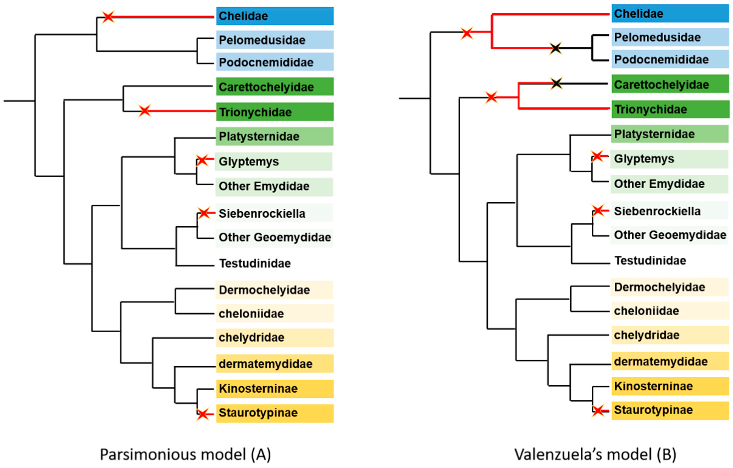 Genes 12 01822 g008 Genes 12 01822 g008