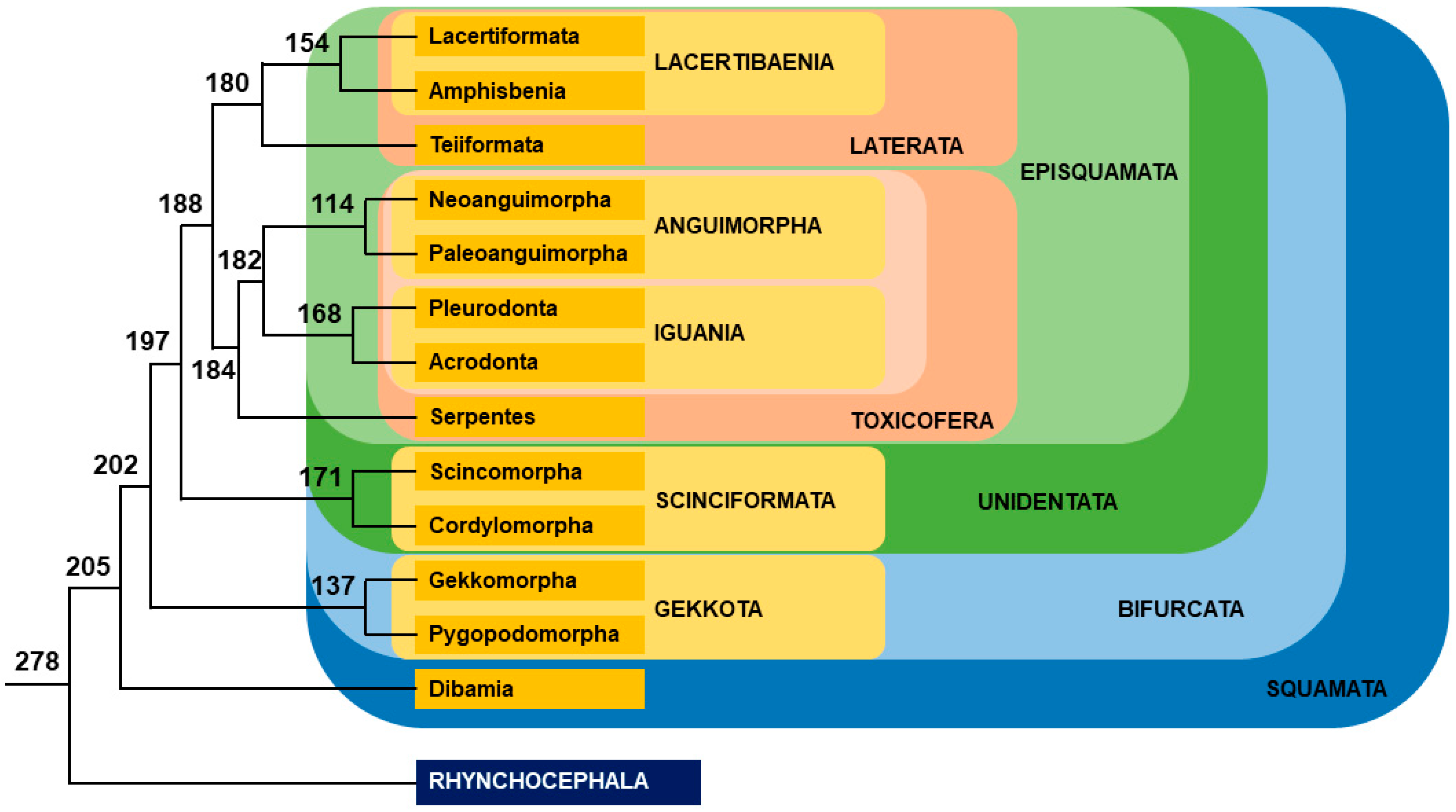 Genes 12 01822 g009 Genes 12 01822 g009