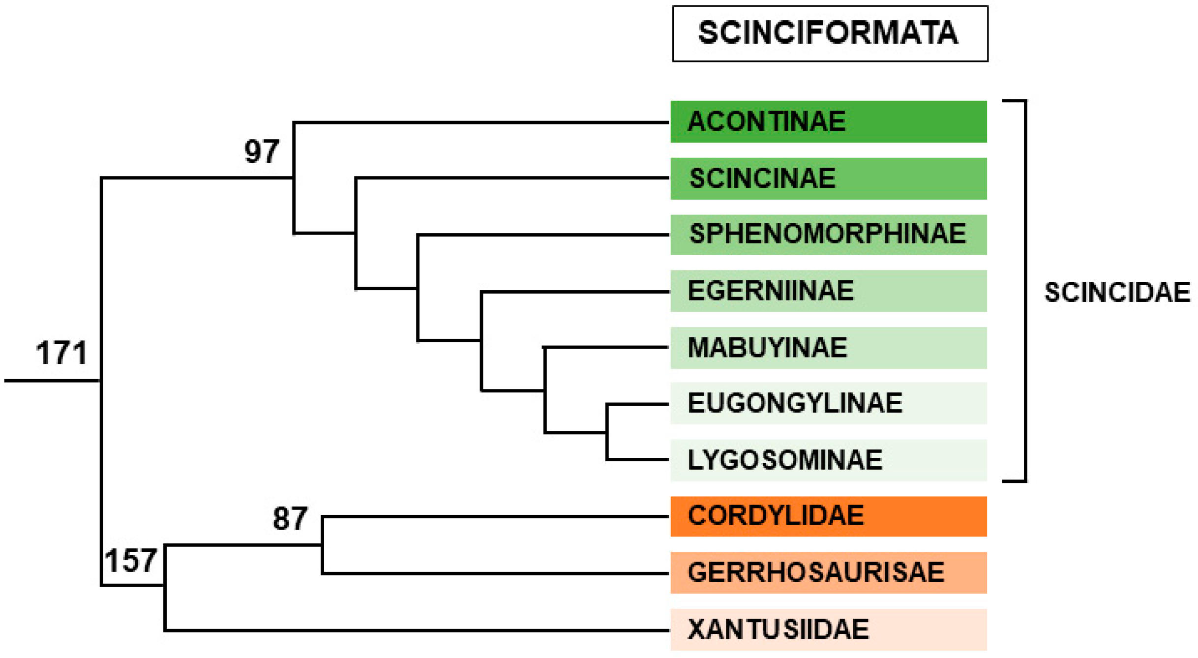 Genes 12 01822 g011 Genes 12 01822 g011
