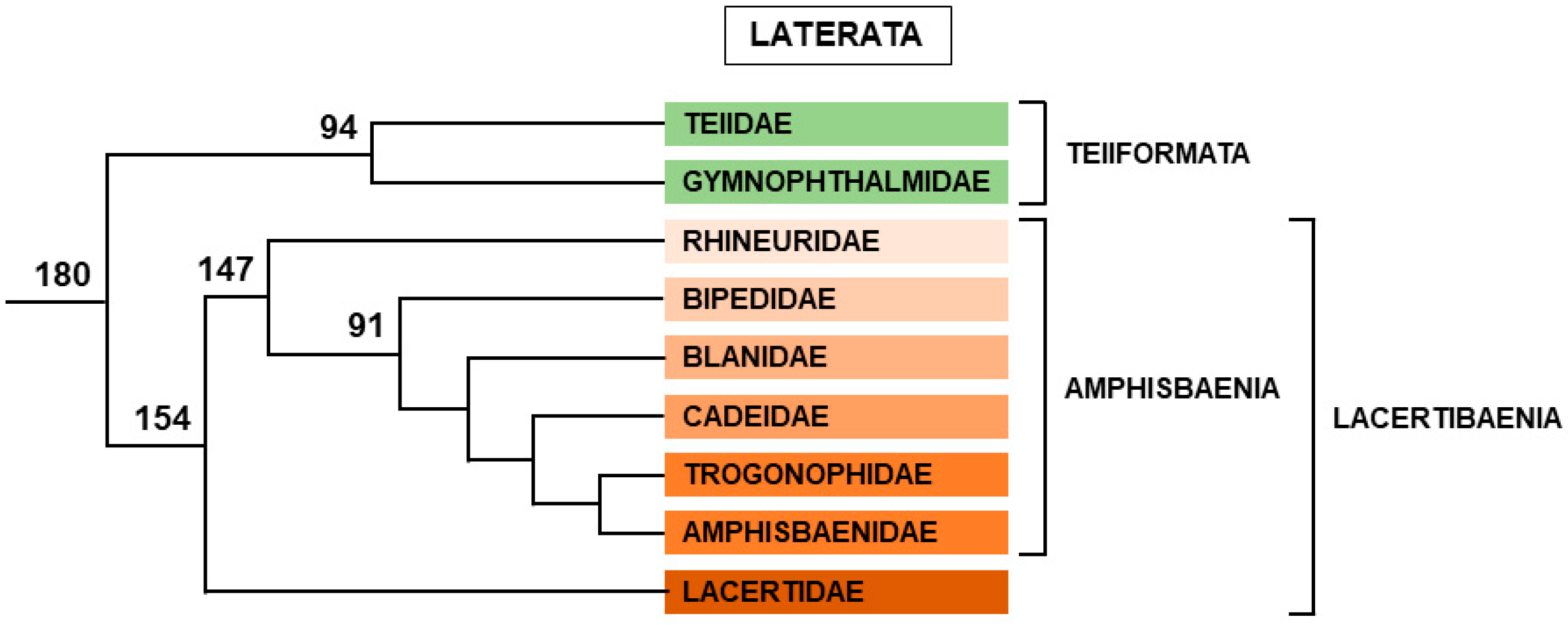 Genes 12 01822 g012 Genes 12 01822 g012