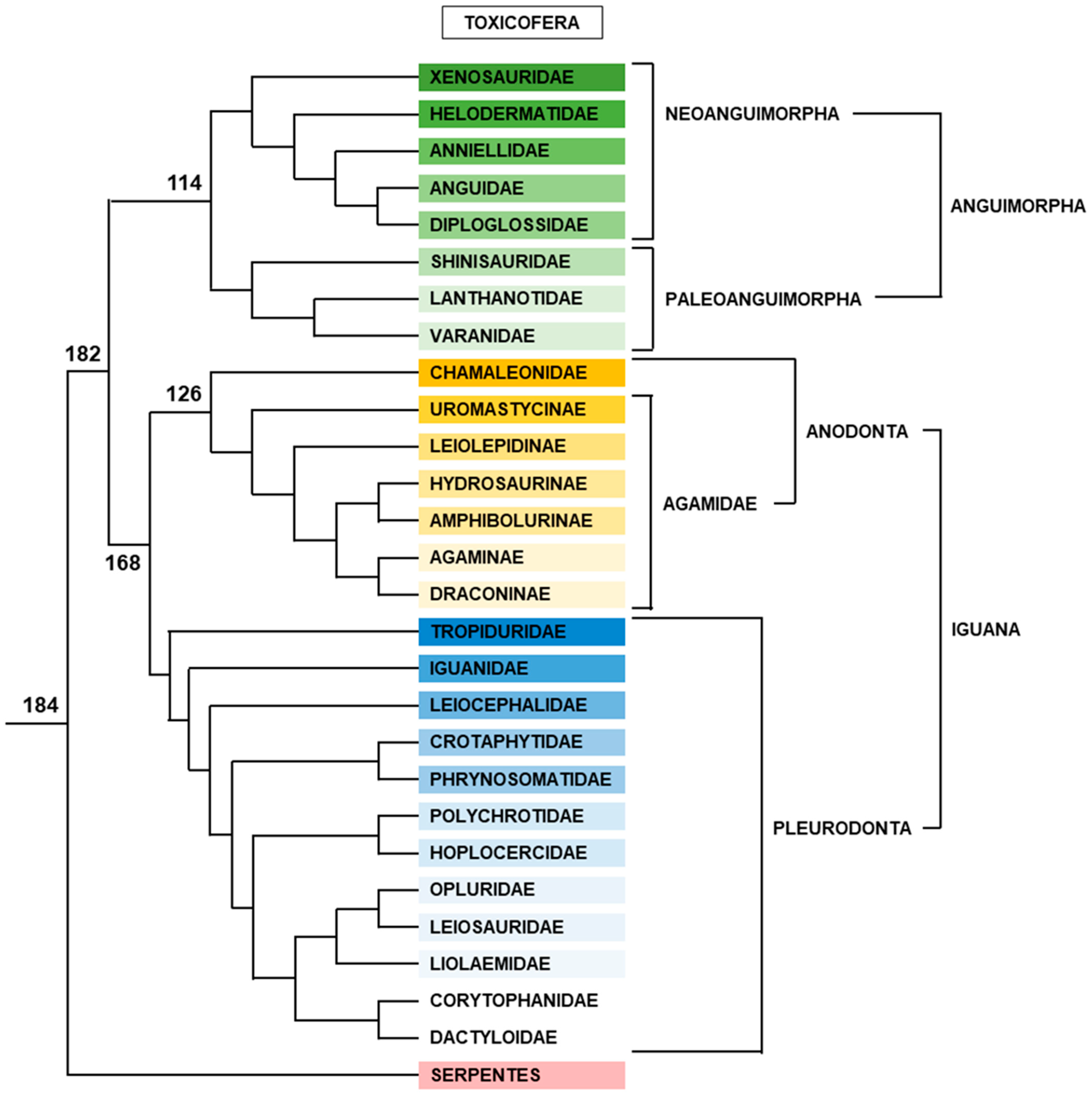 Genes 12 01822 g013 Genes 12 01822 g013