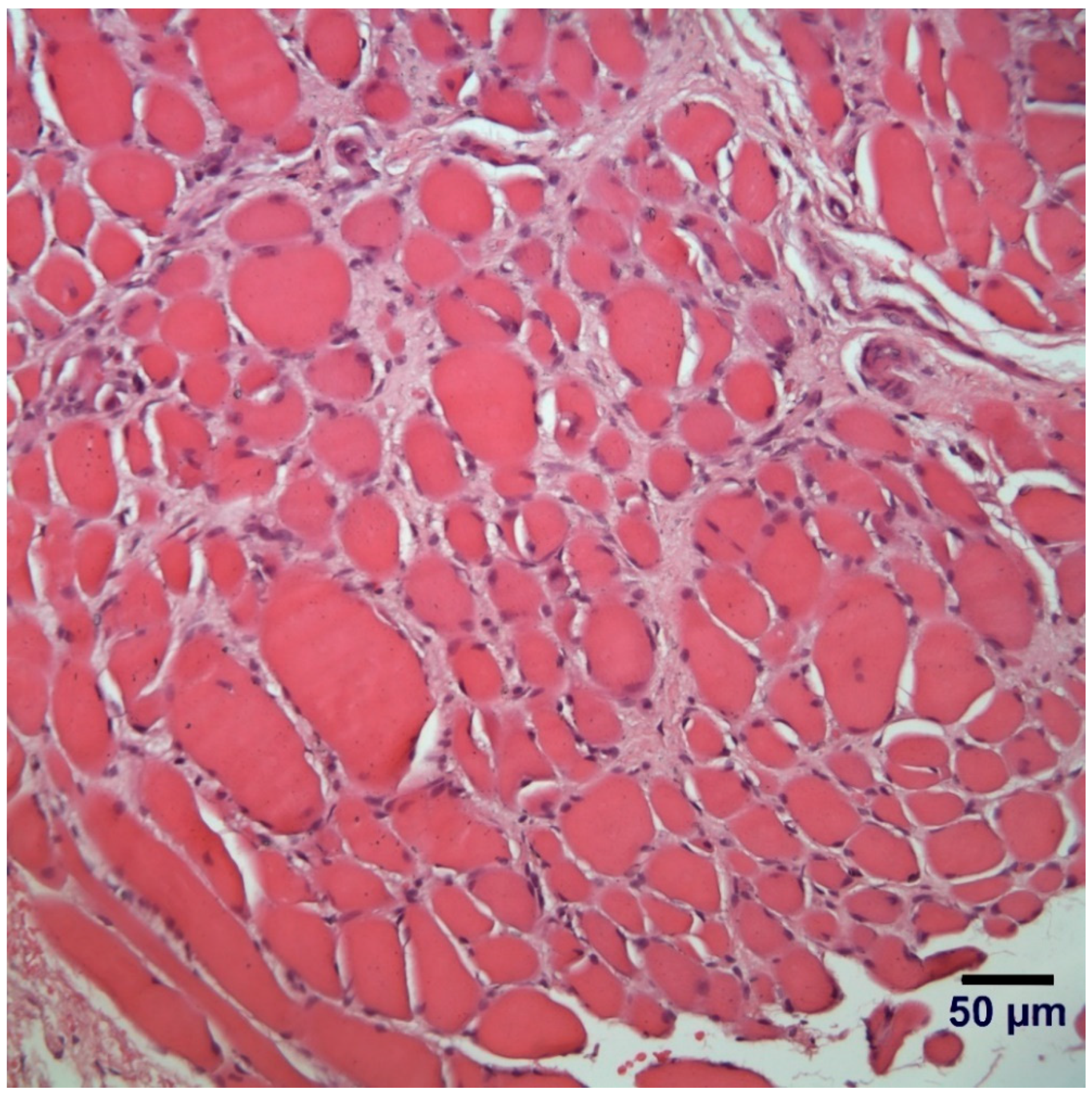 Genes 12 01823 g002 550