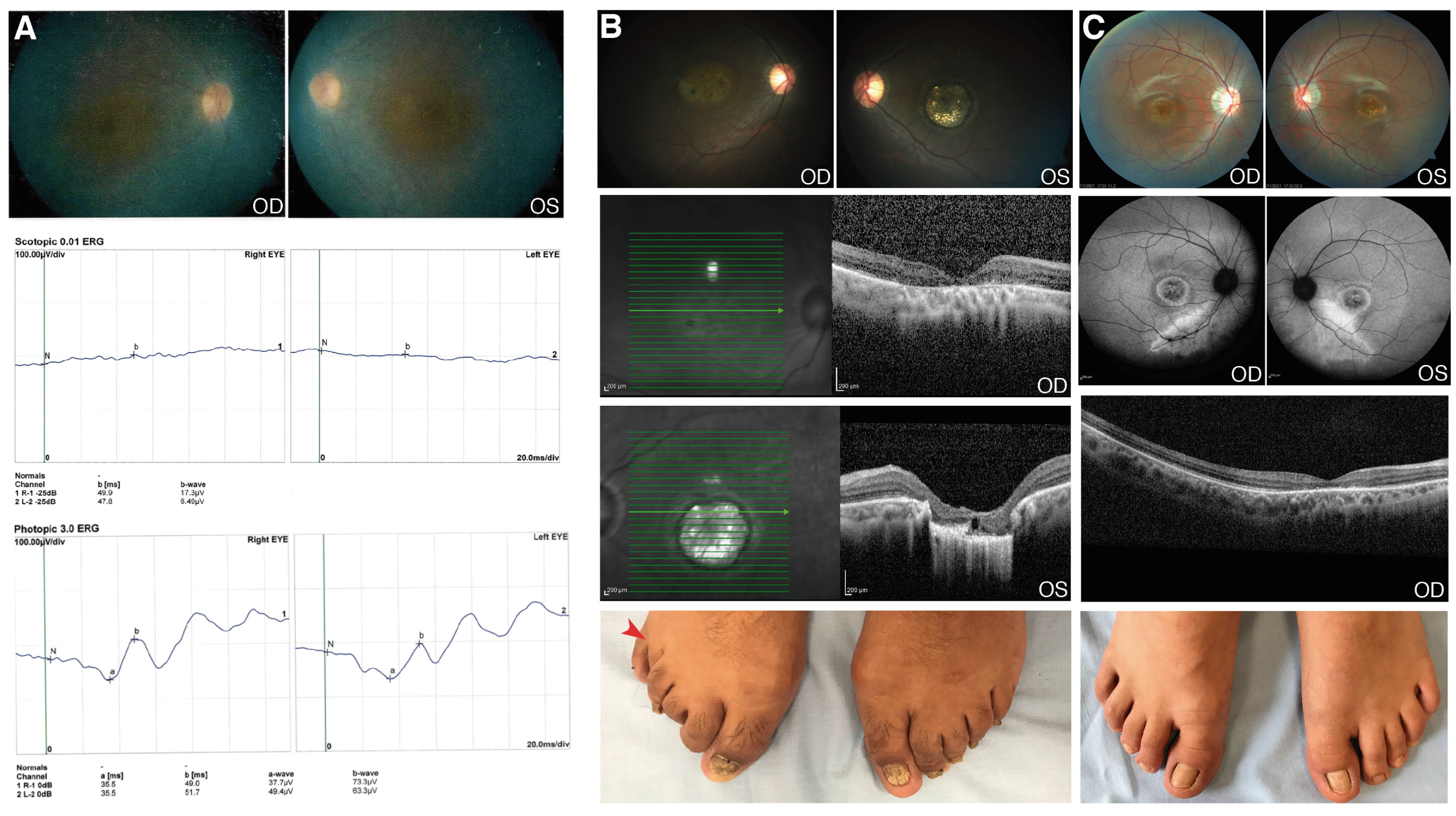 Genes 12 01824 g002 Genes 12 01824 g002