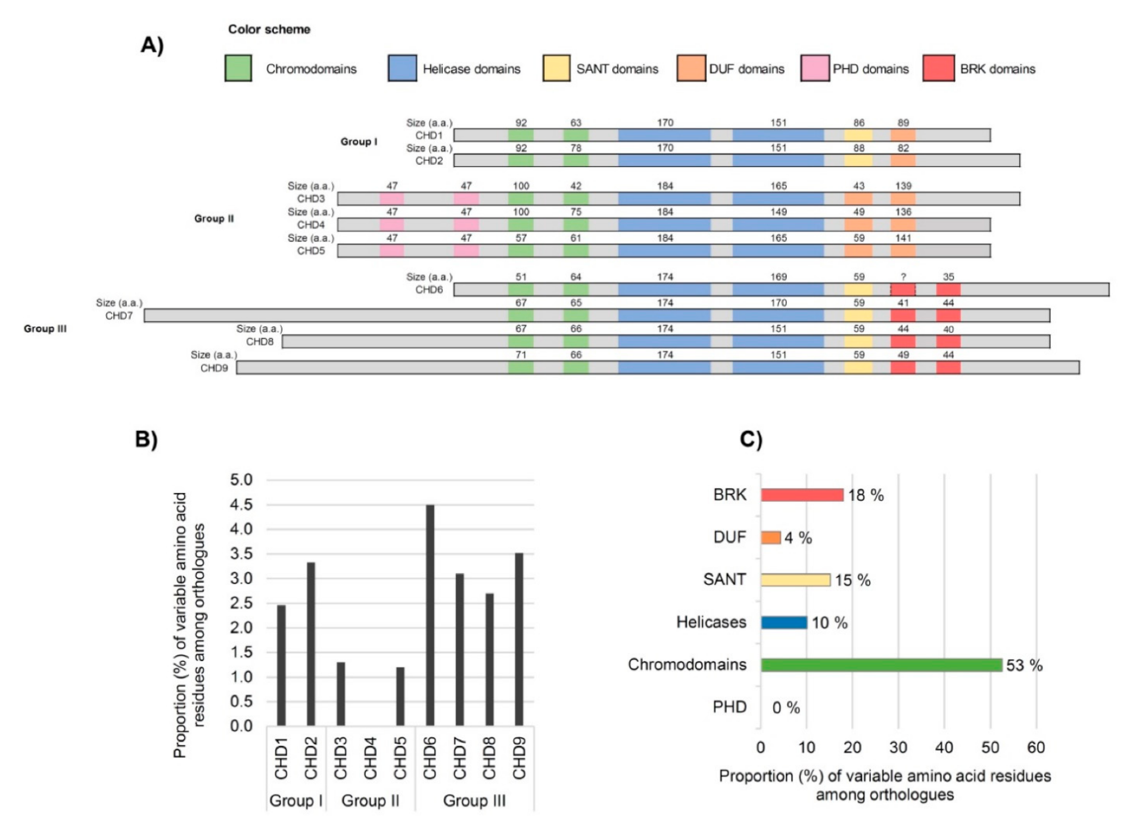 Genes 12 01827 g002