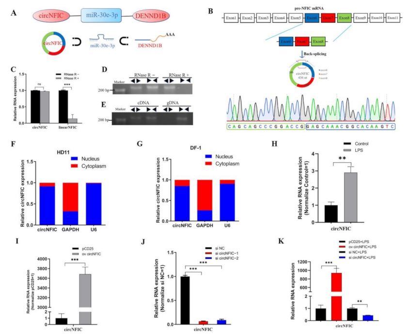 Genes 12 01829 g001 Genes 12 01829 g001