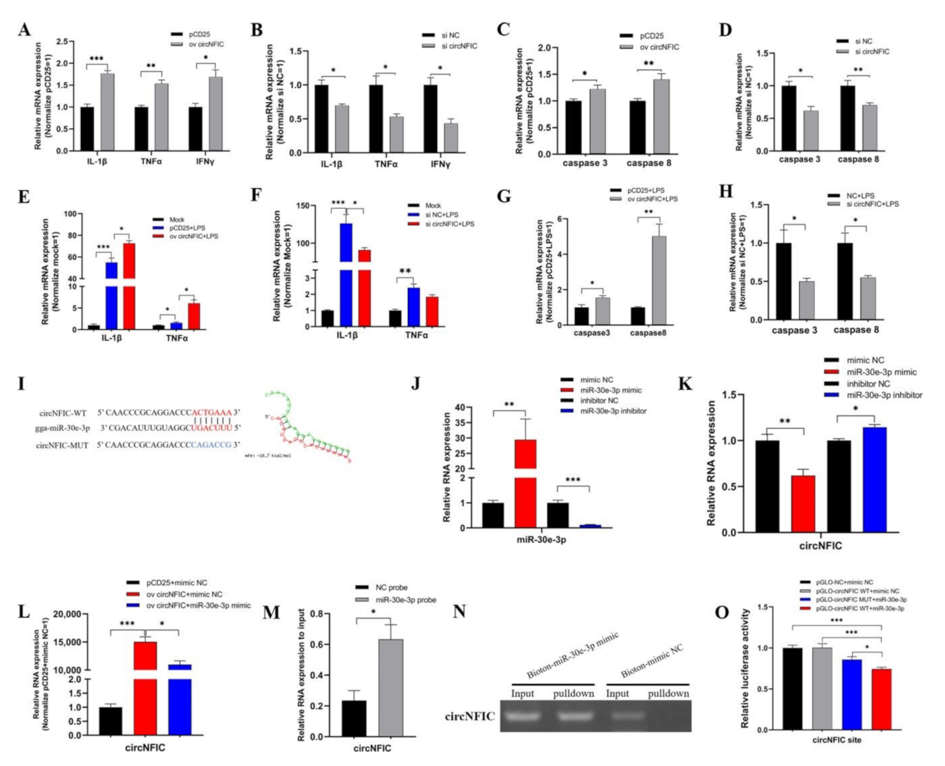 Genes 12 01829 g002 Genes 12 01829 g002