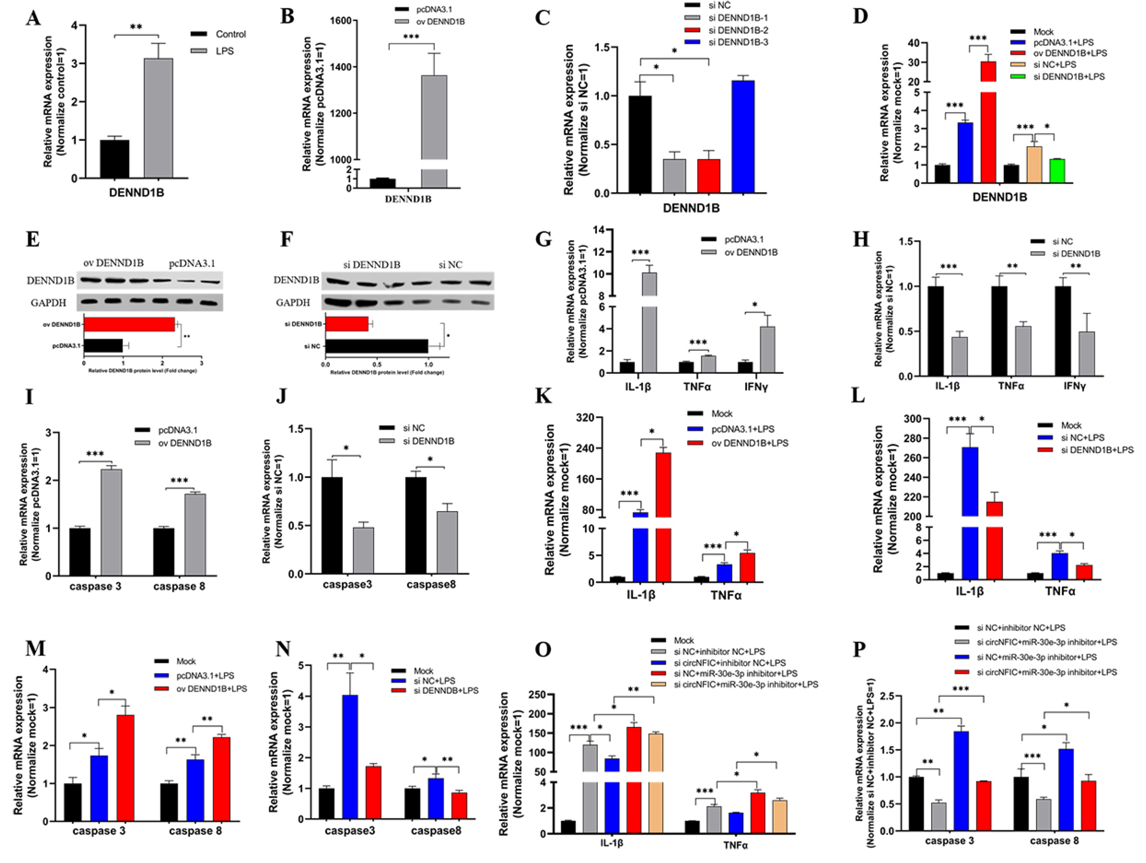 Genes 12 01829 g005 Genes 12 01829 g005