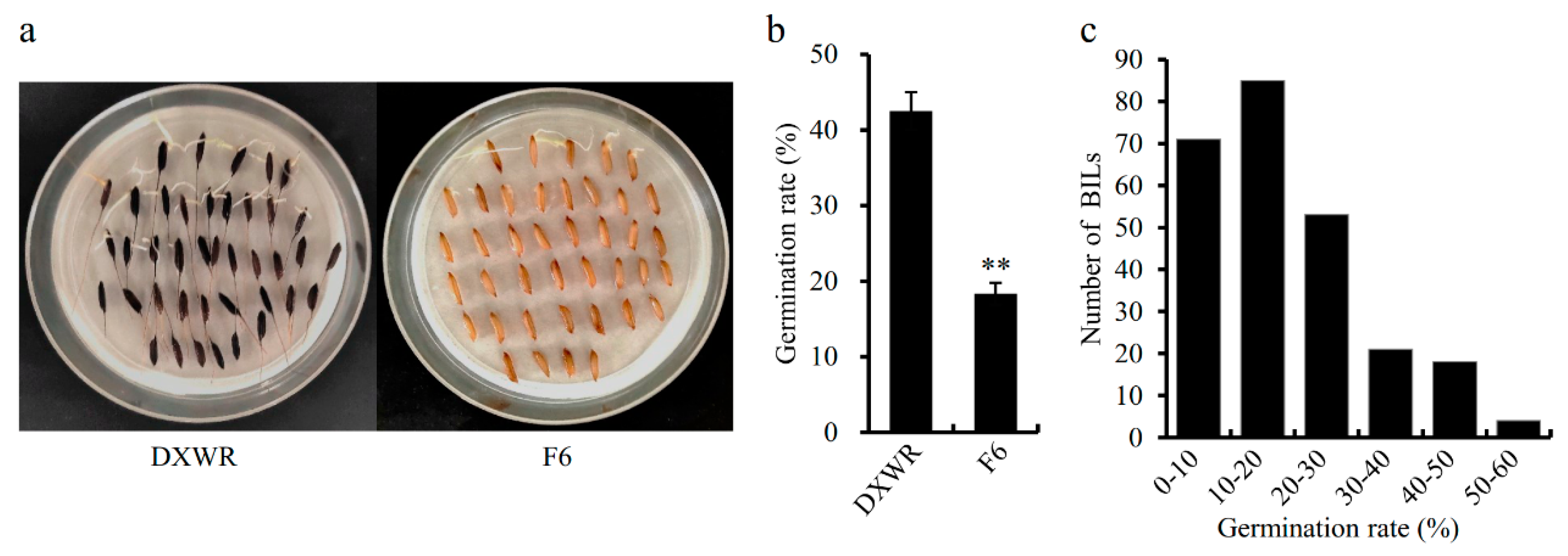 Genes 12 01831 g001 550
