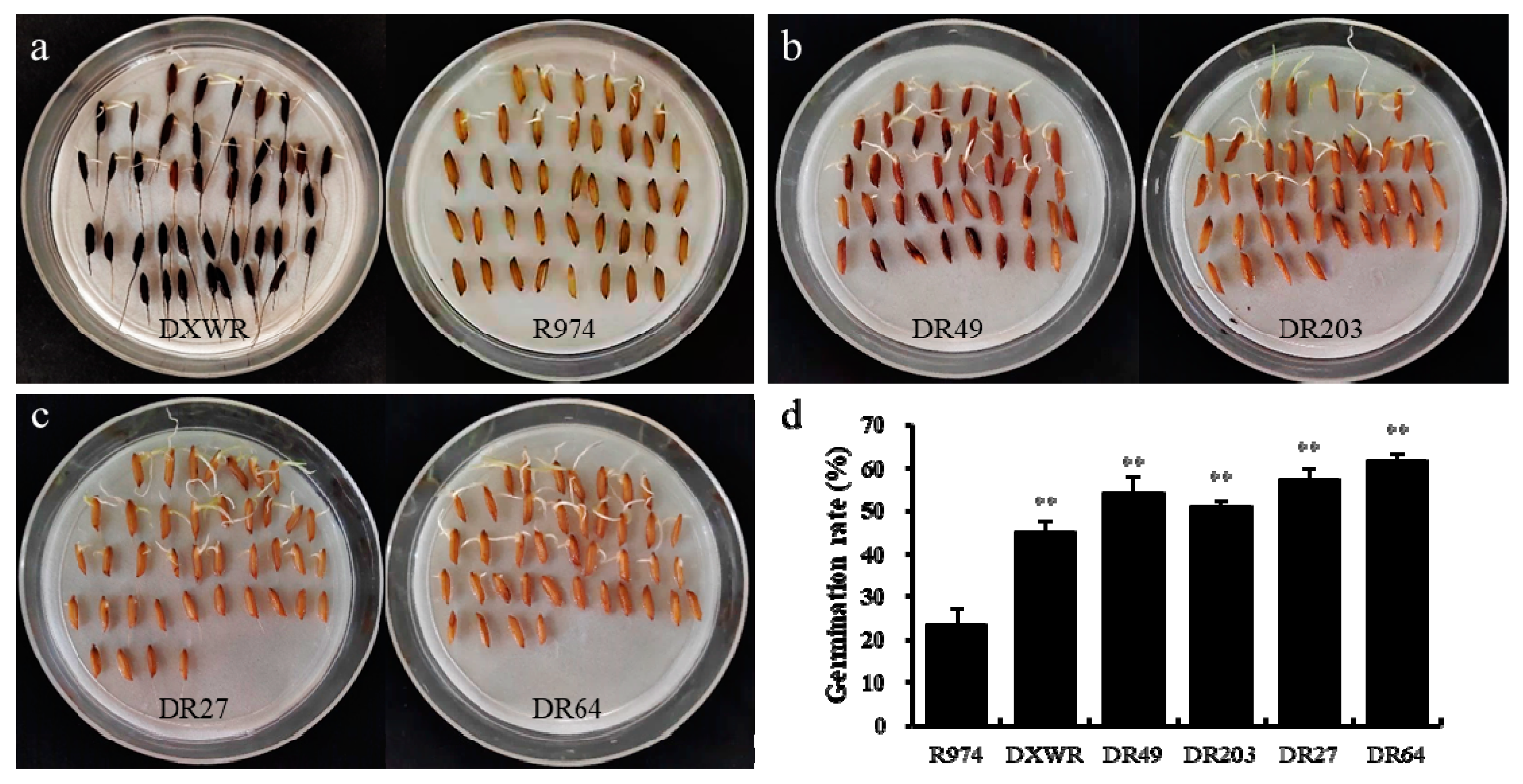 Genes 12 01831 g004 550
