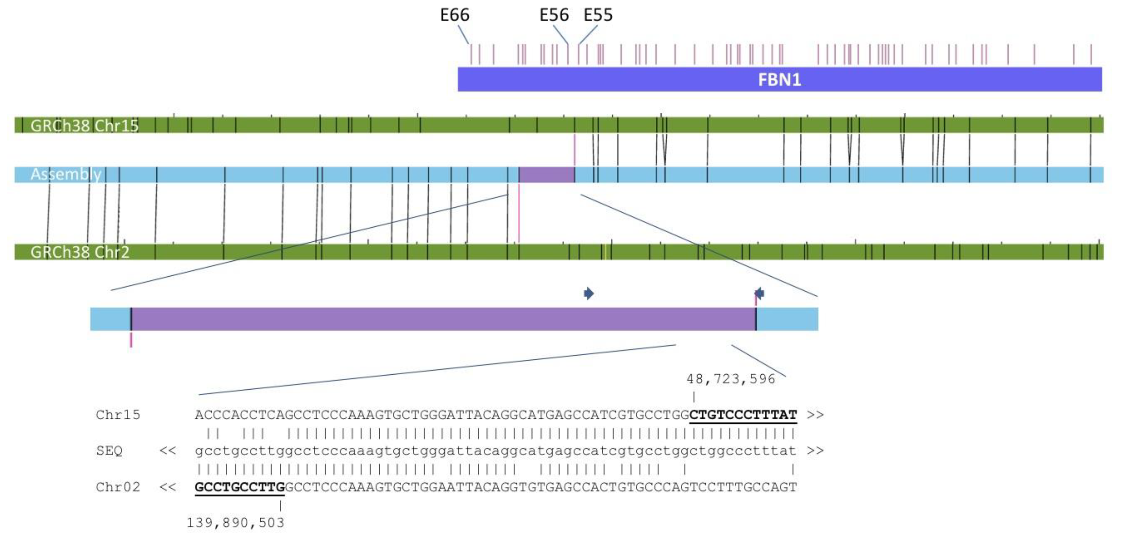Genes 12 01836 g002