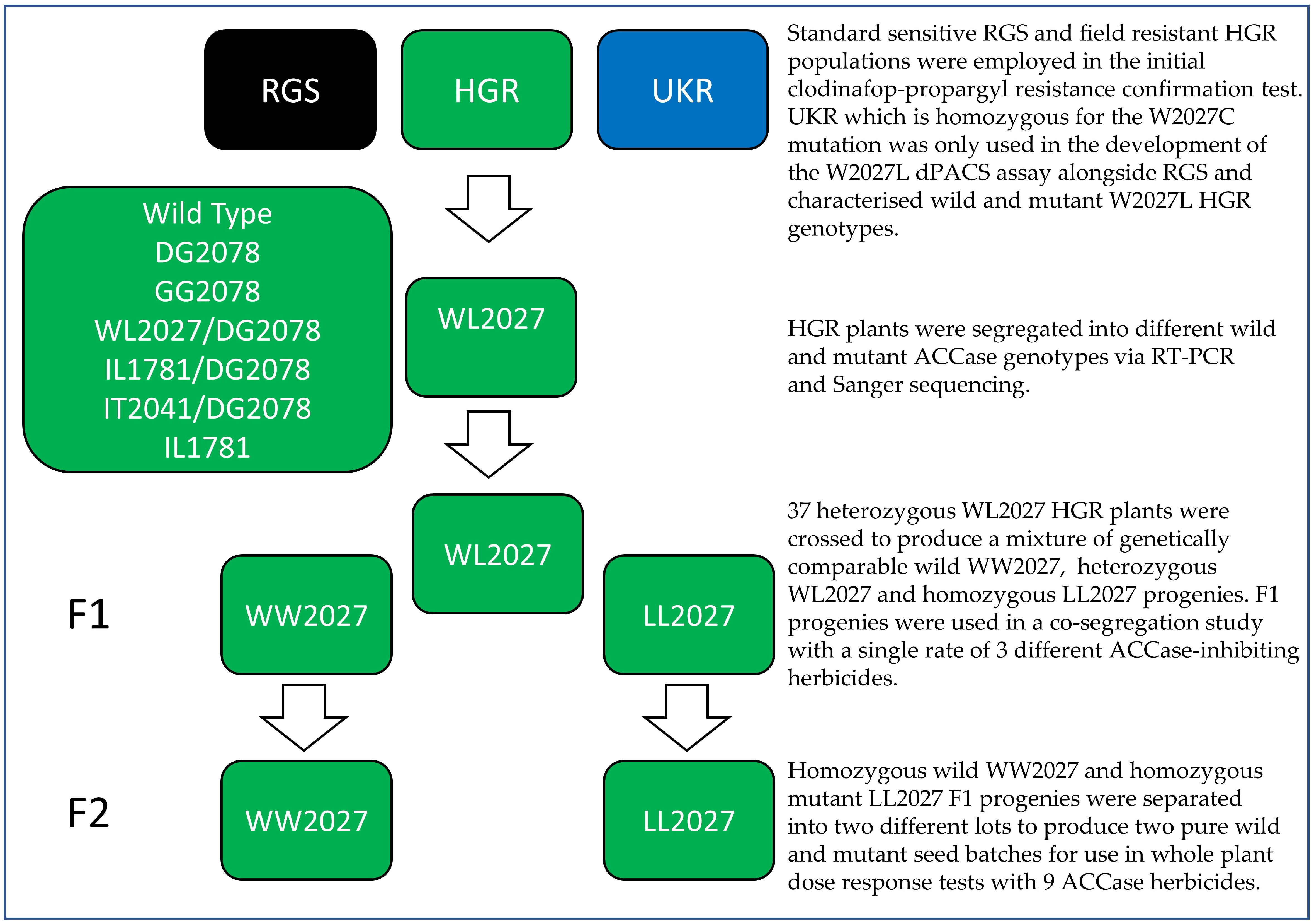 Genes 12 01838 g001 550