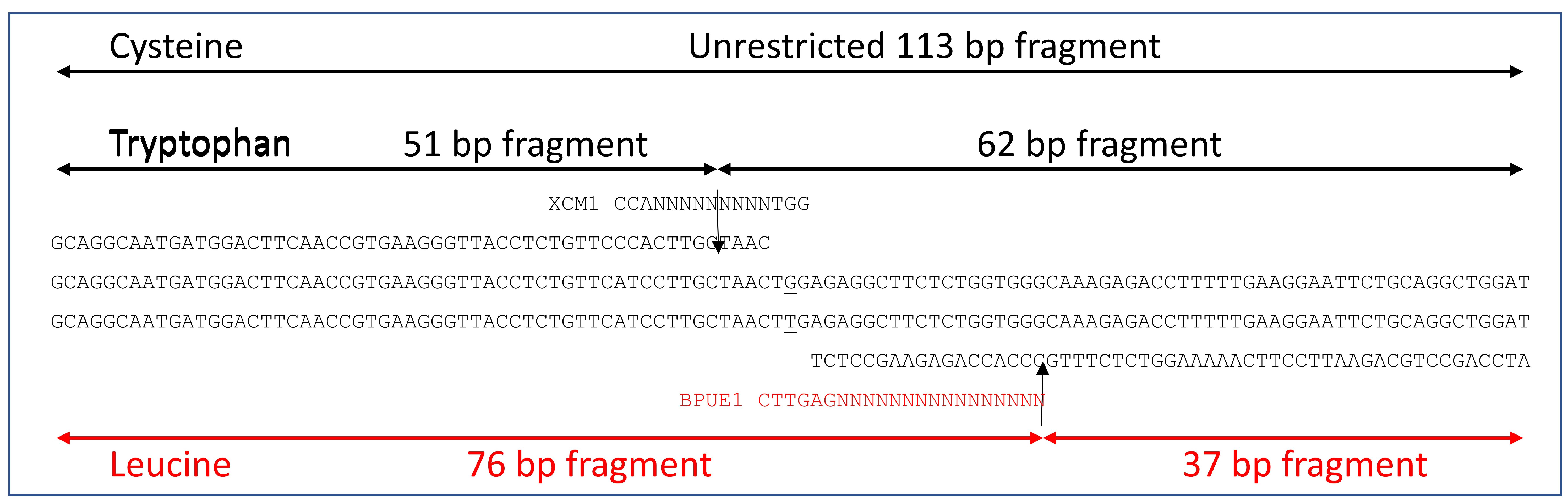 Genes 12 01838 g002 550