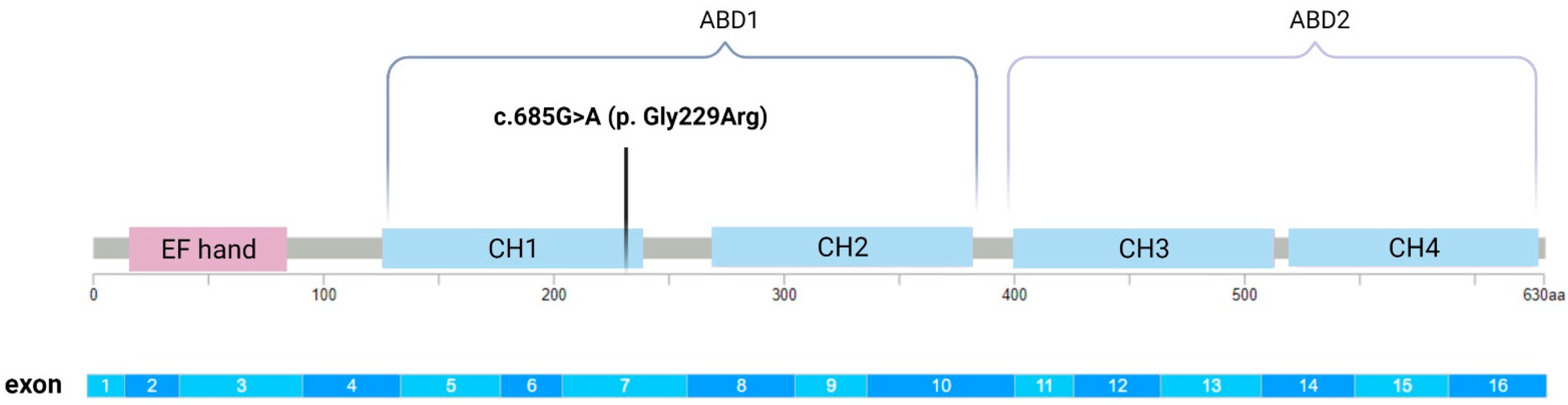 Genes 12 01851 g003