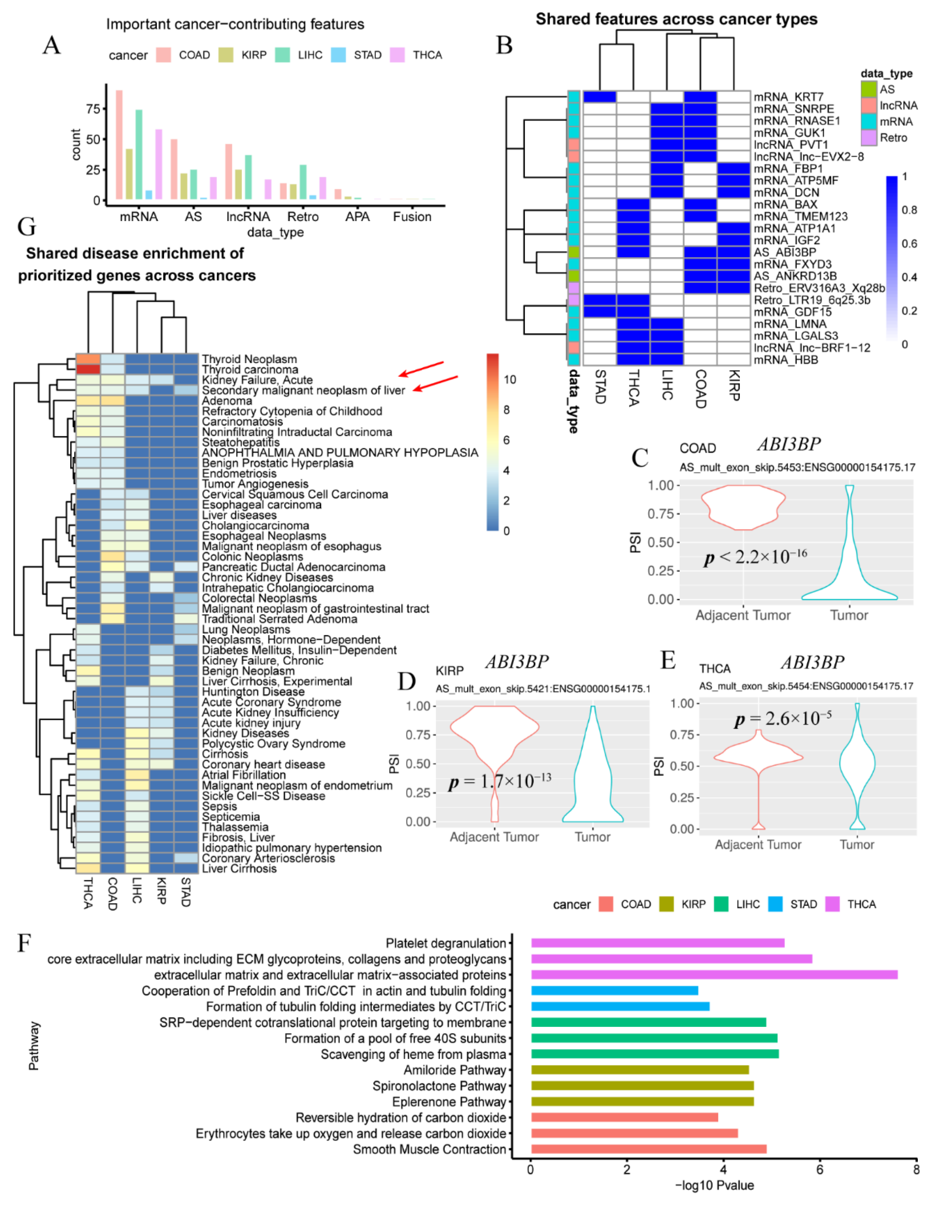Genes 12 01865 g002