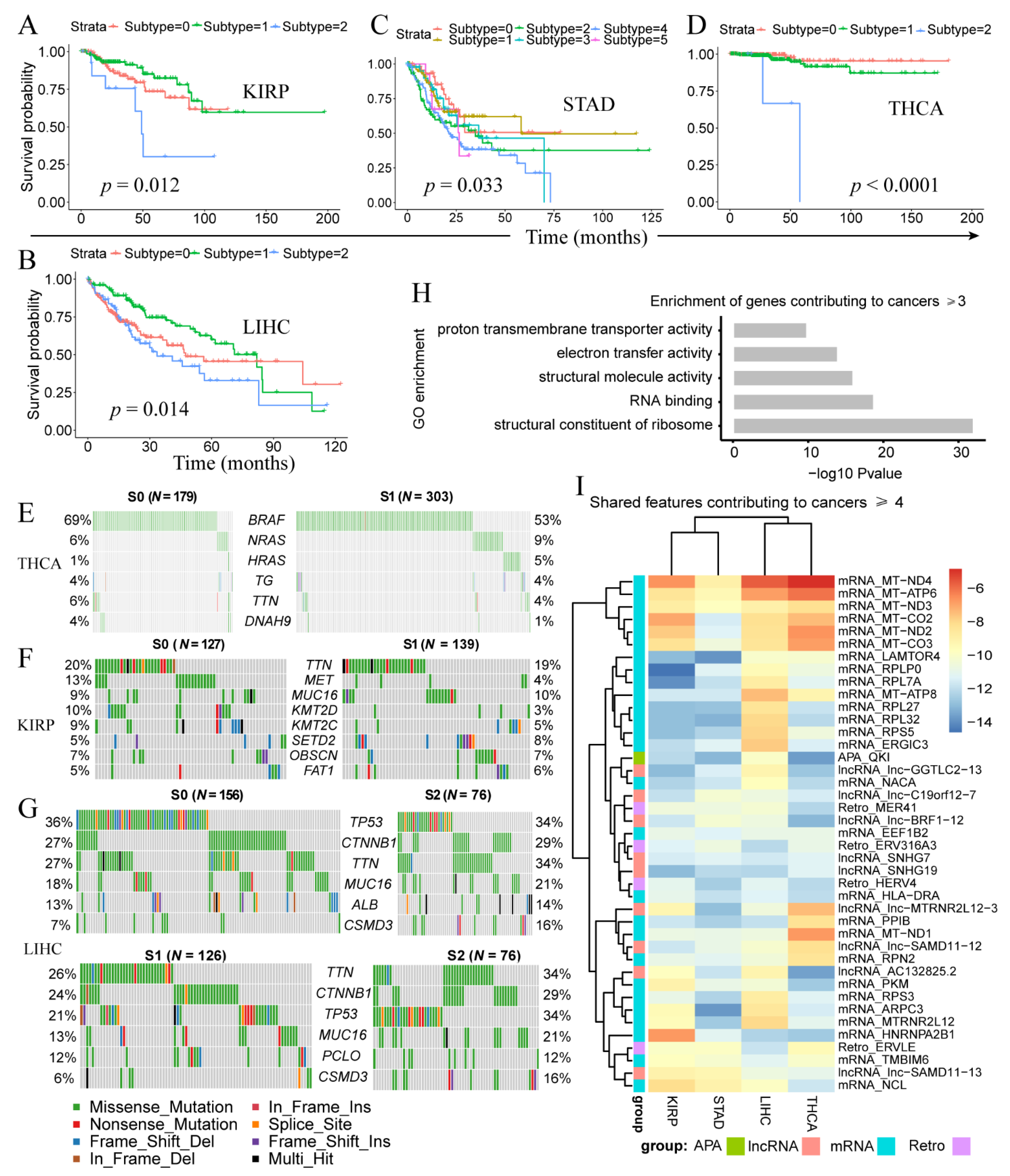 Genes 12 01865 g003