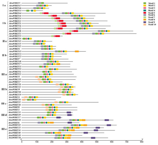 Genome-Wide Identification and Analysis of the WRKY Gene