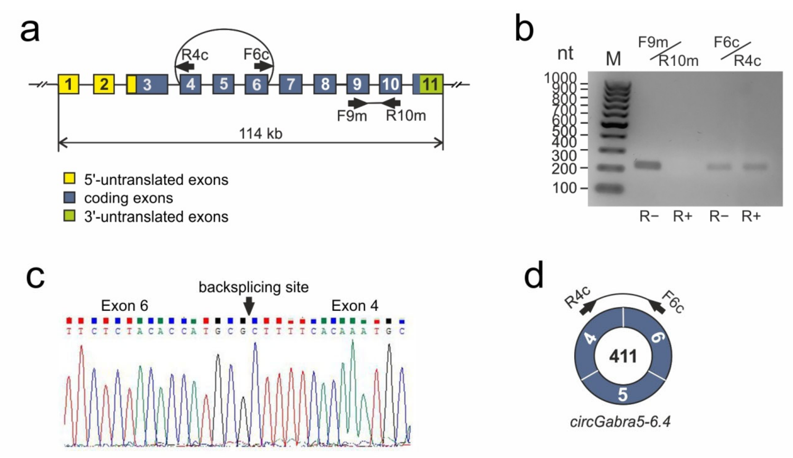 Genes 12 01870 g002 550