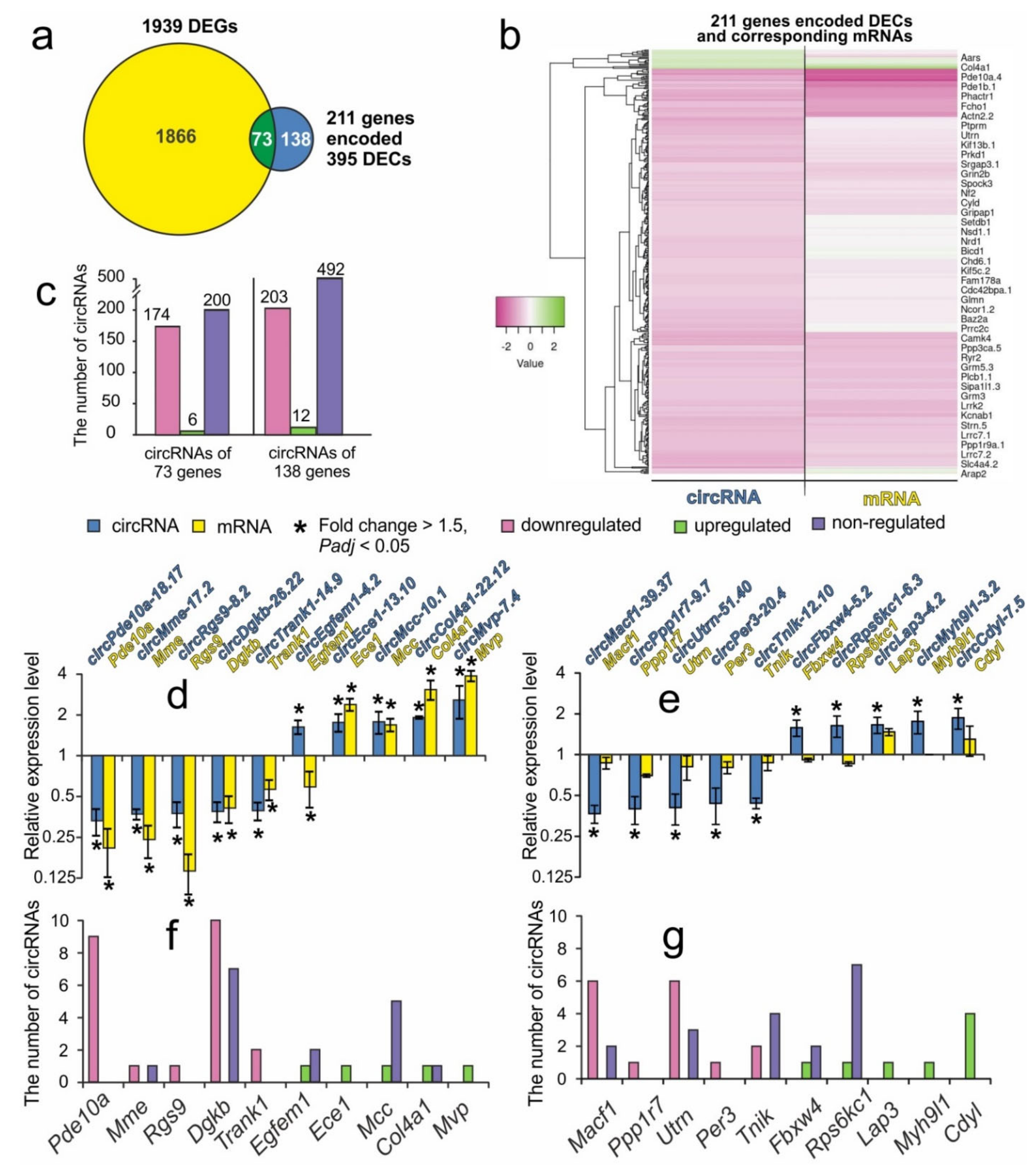 Genes 12 01870 g004 550