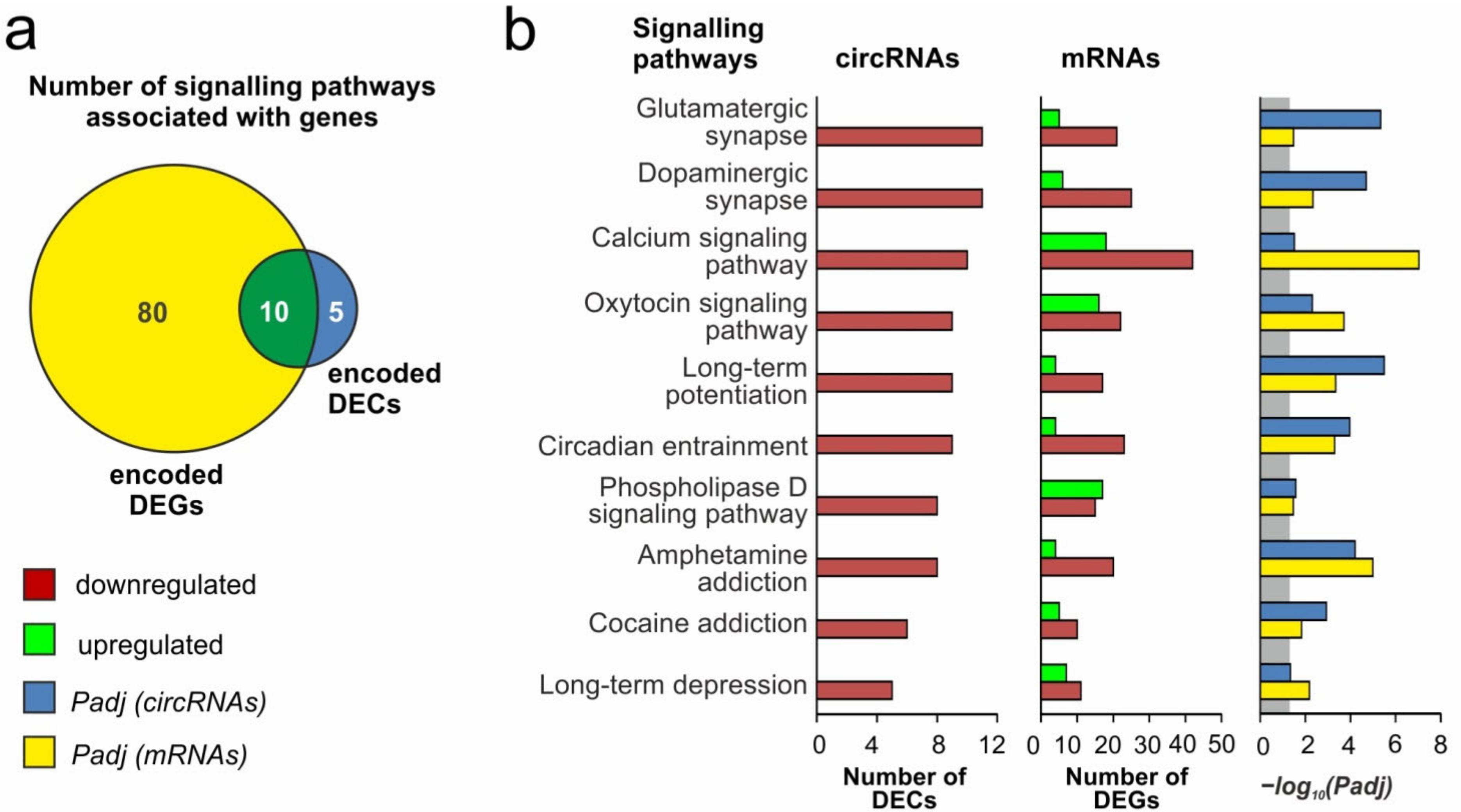 Genes 12 01870 g005 550