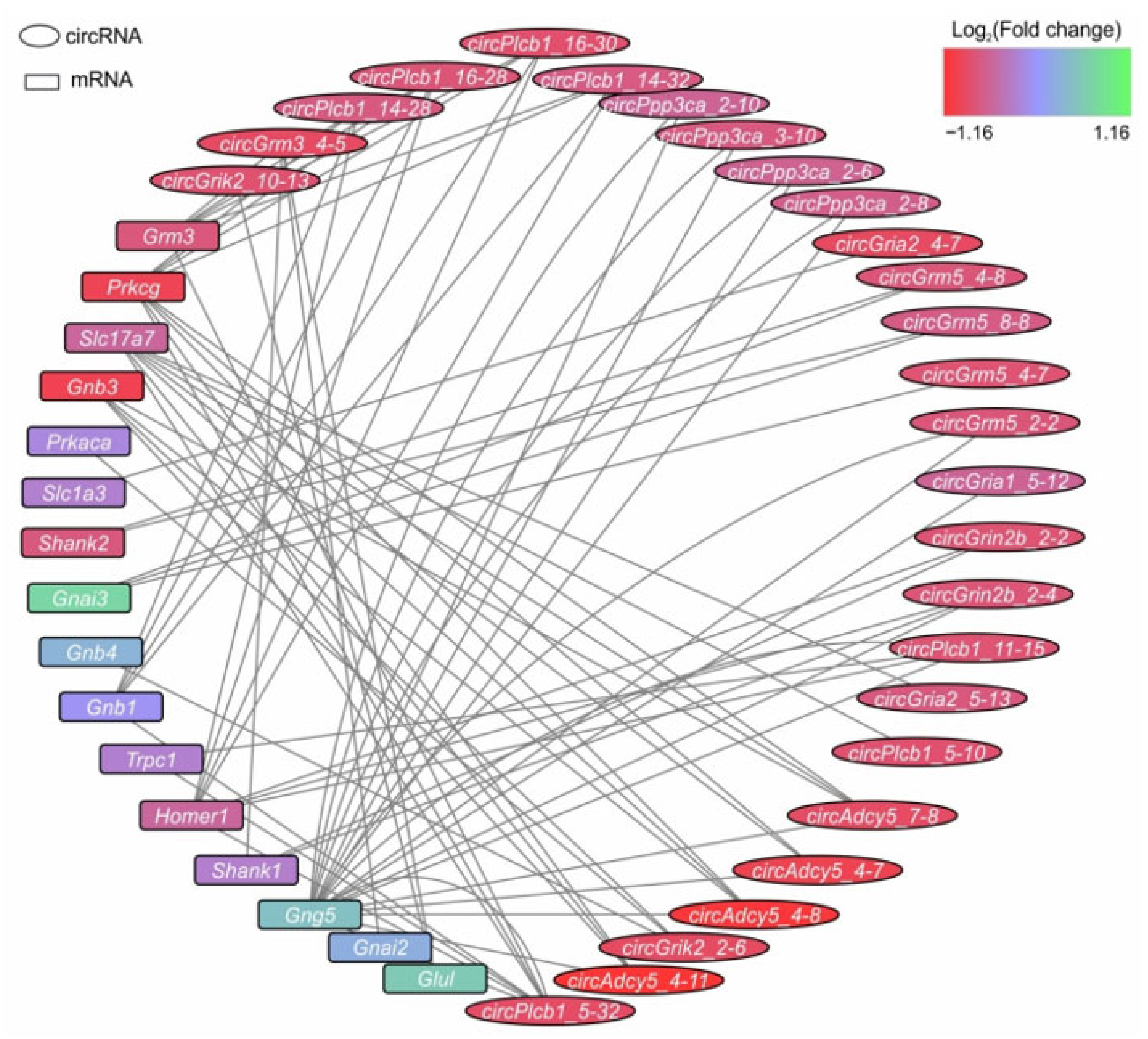 Genes 12 01870 g006 550