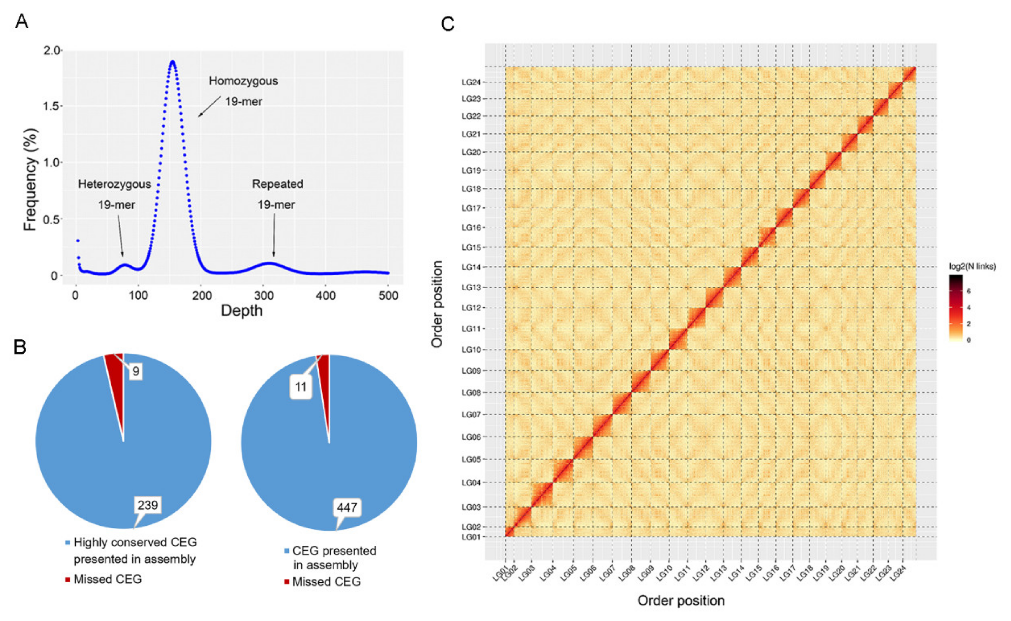 Genes 12 01873 g002