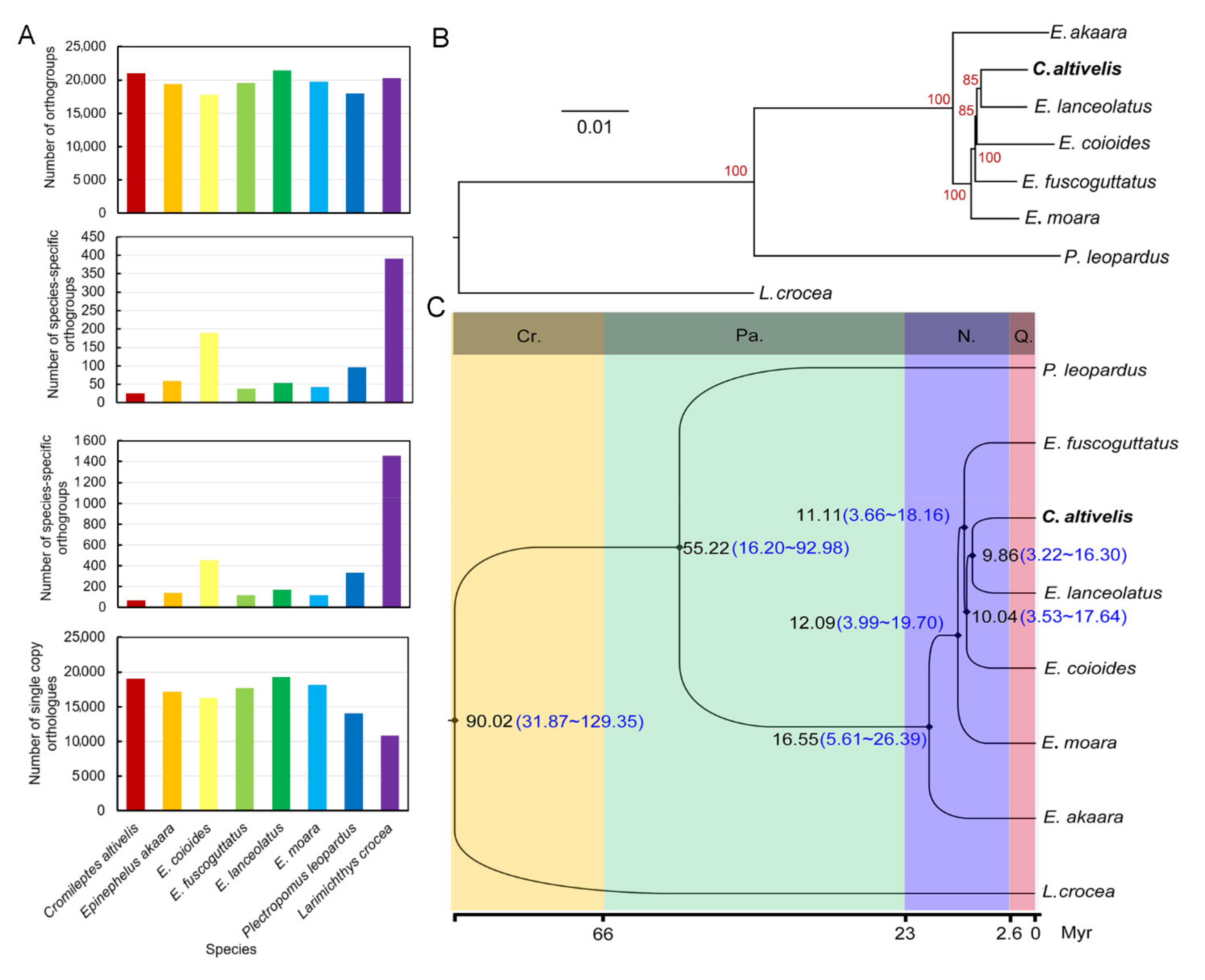 Genes 12 01873 g003