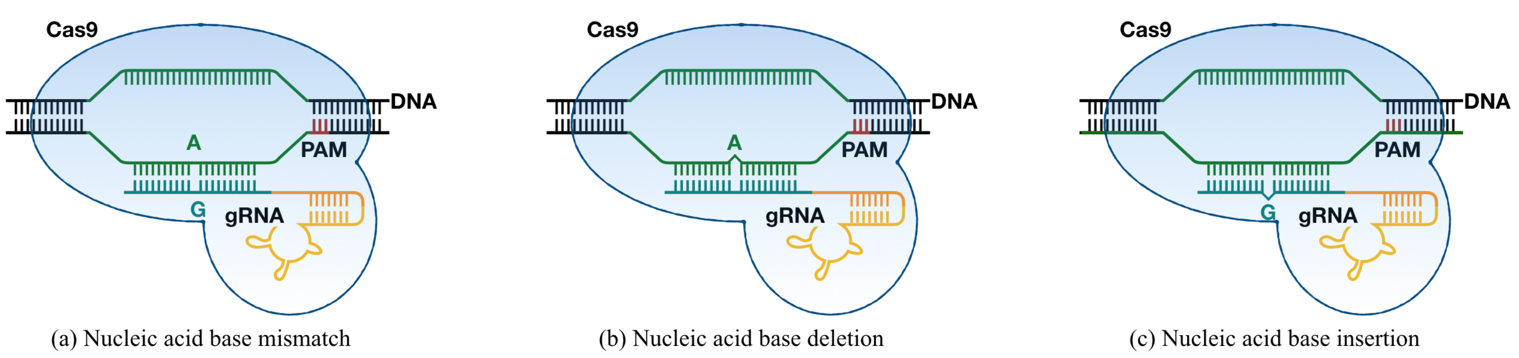 Genes 12 01878 g001