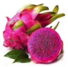 Genes 12 01881 i014 Genes 12 01881 i014