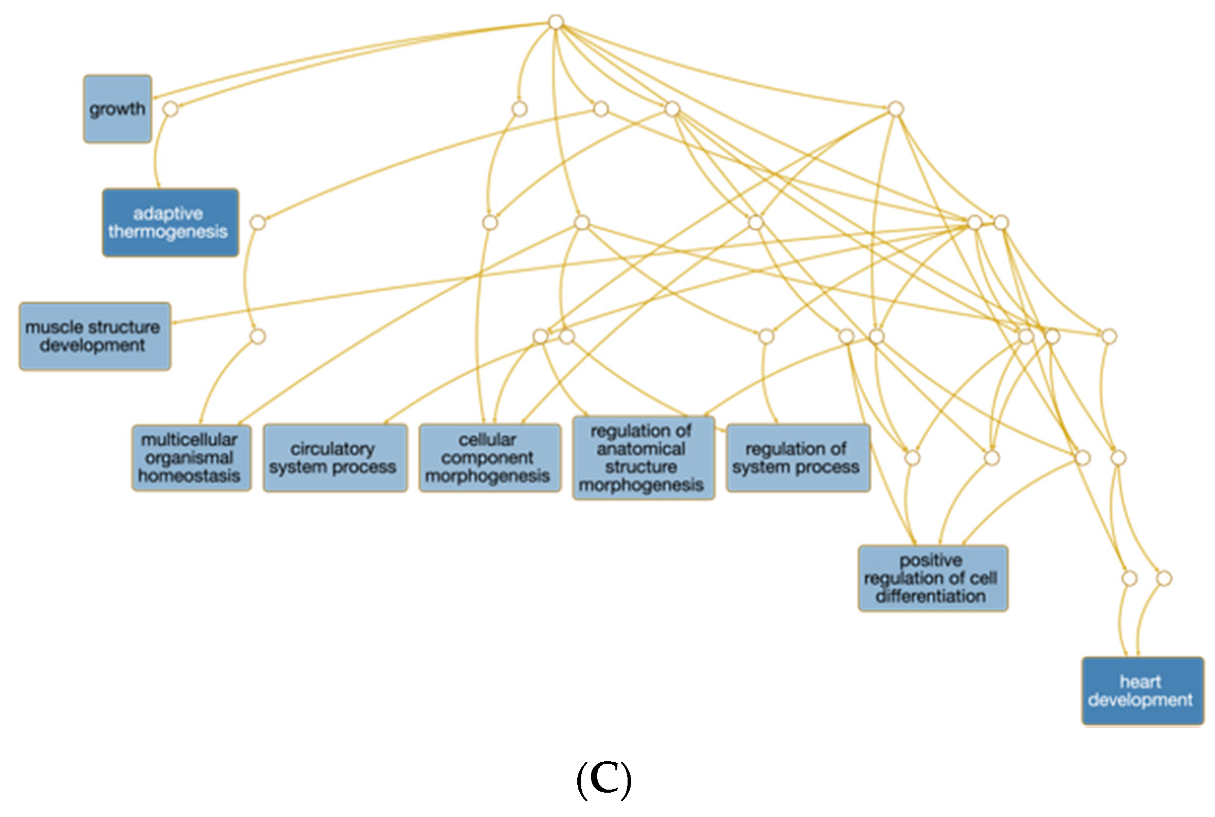 Genes 12 01884 g003b