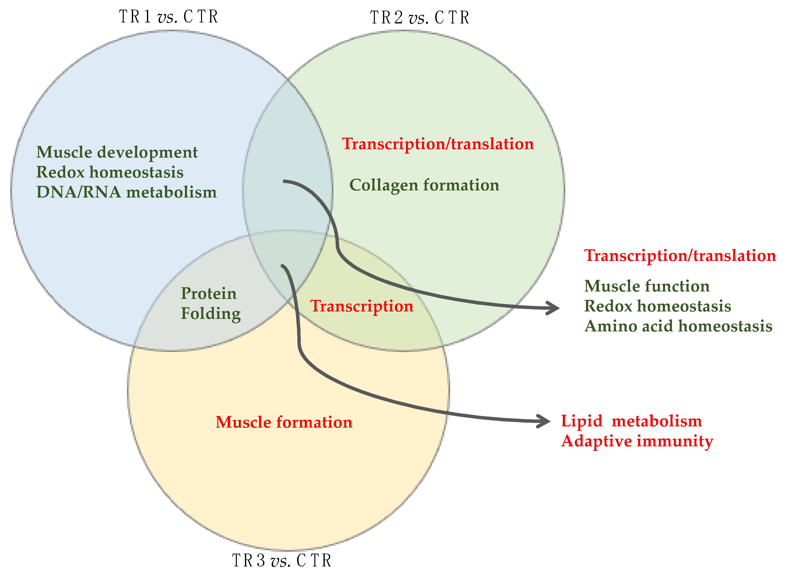 Genes 12 01884 g006