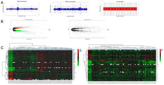 Bioinformatic Analysis Identified Hub Genes Associated with ...