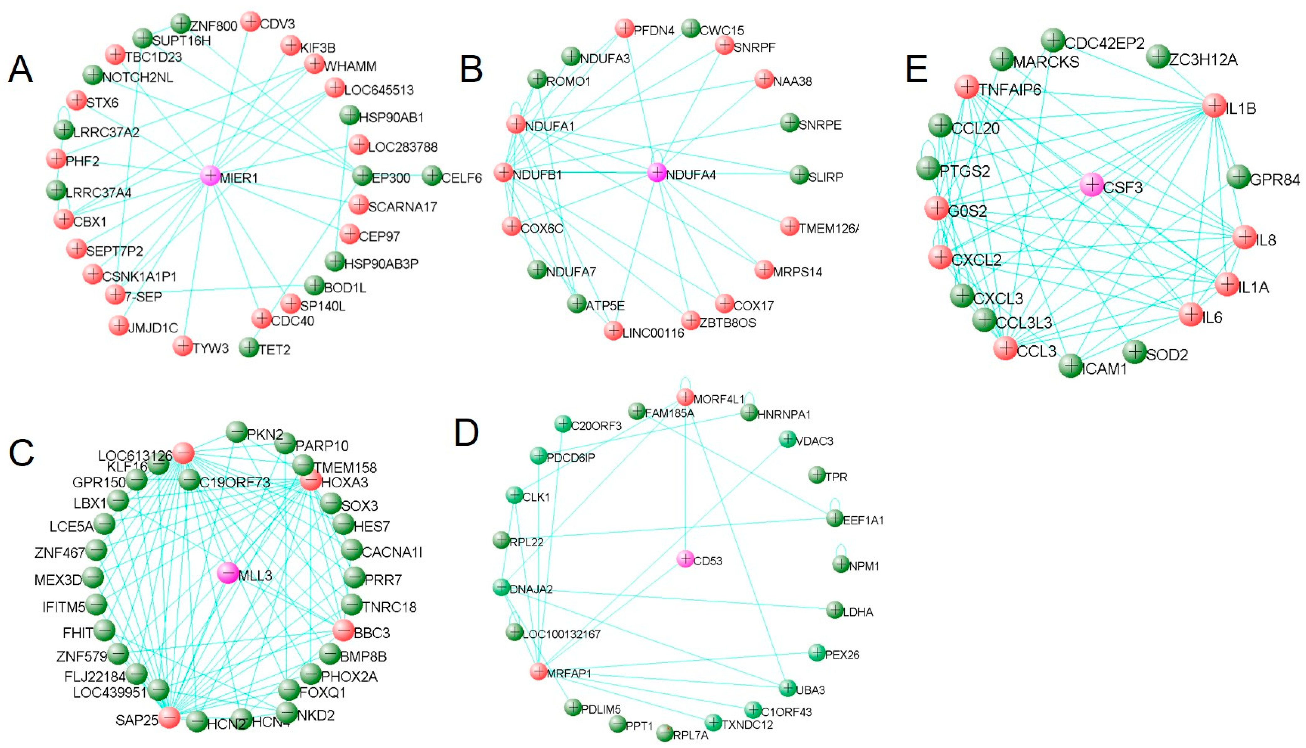 Genes 12 01888 g005