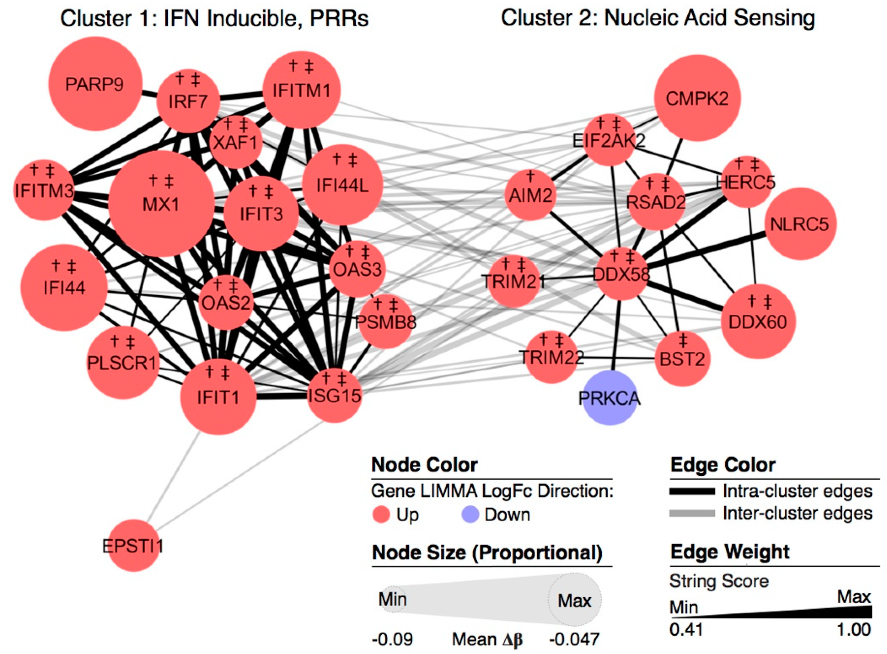 Genes Free Full Text Nucleic Acid Sensing And Interferon Inducible Pathways Show Differential Methylation In Mz Twins Discordant For Lupus And Overexpression In Independent Lupus Samples Implications For Pathogenic Mechanism And Drug Targeting