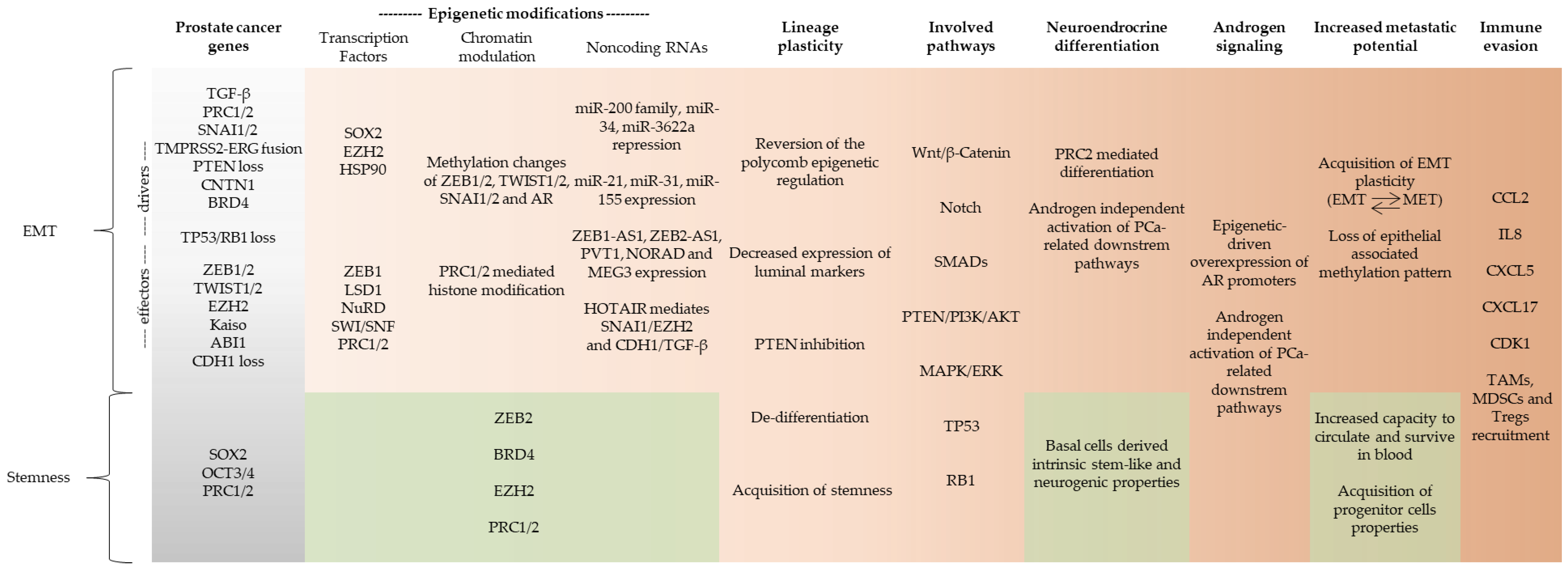 Genes 12 01900 g002