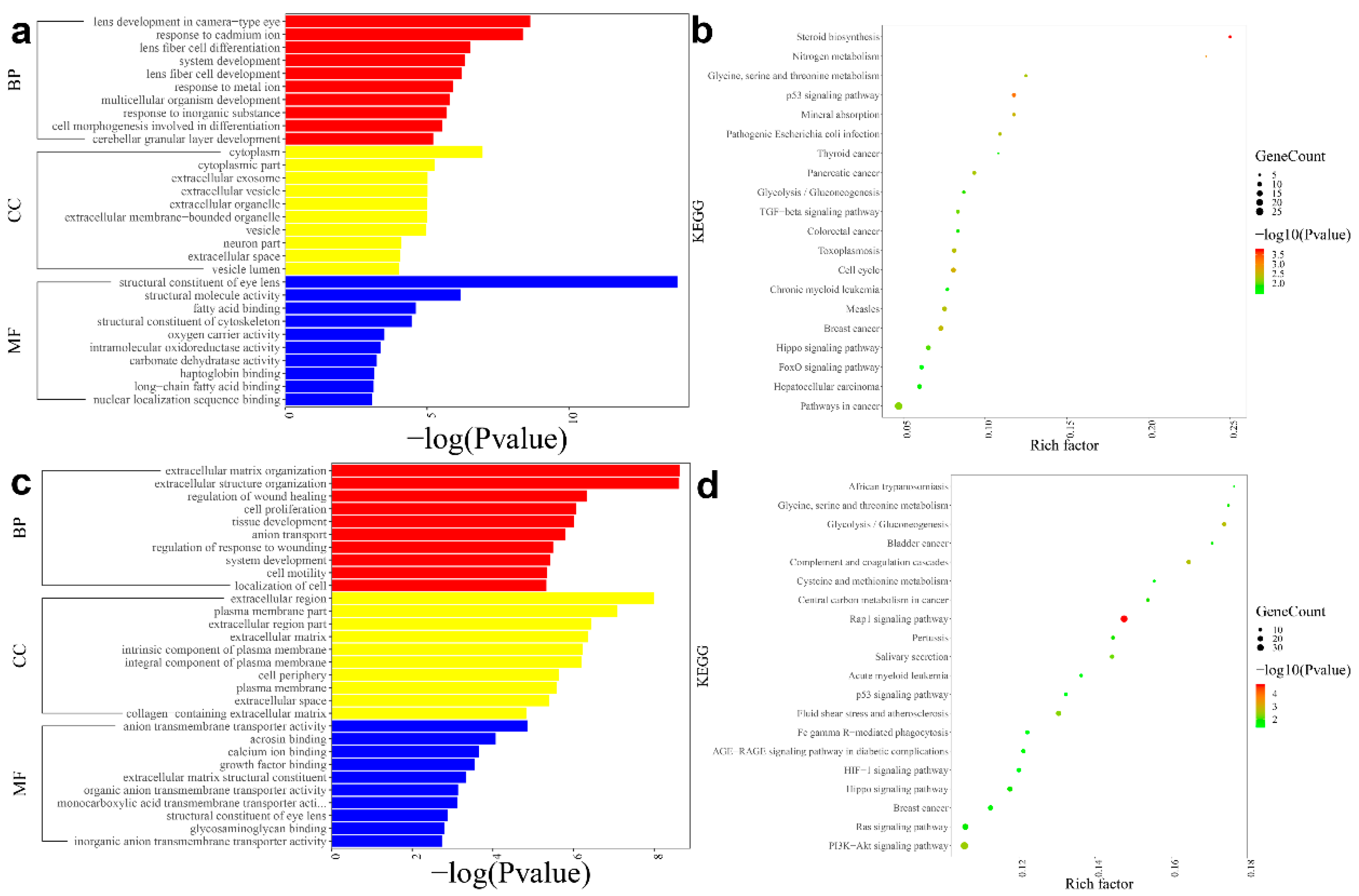 Genes 12 01904 g002