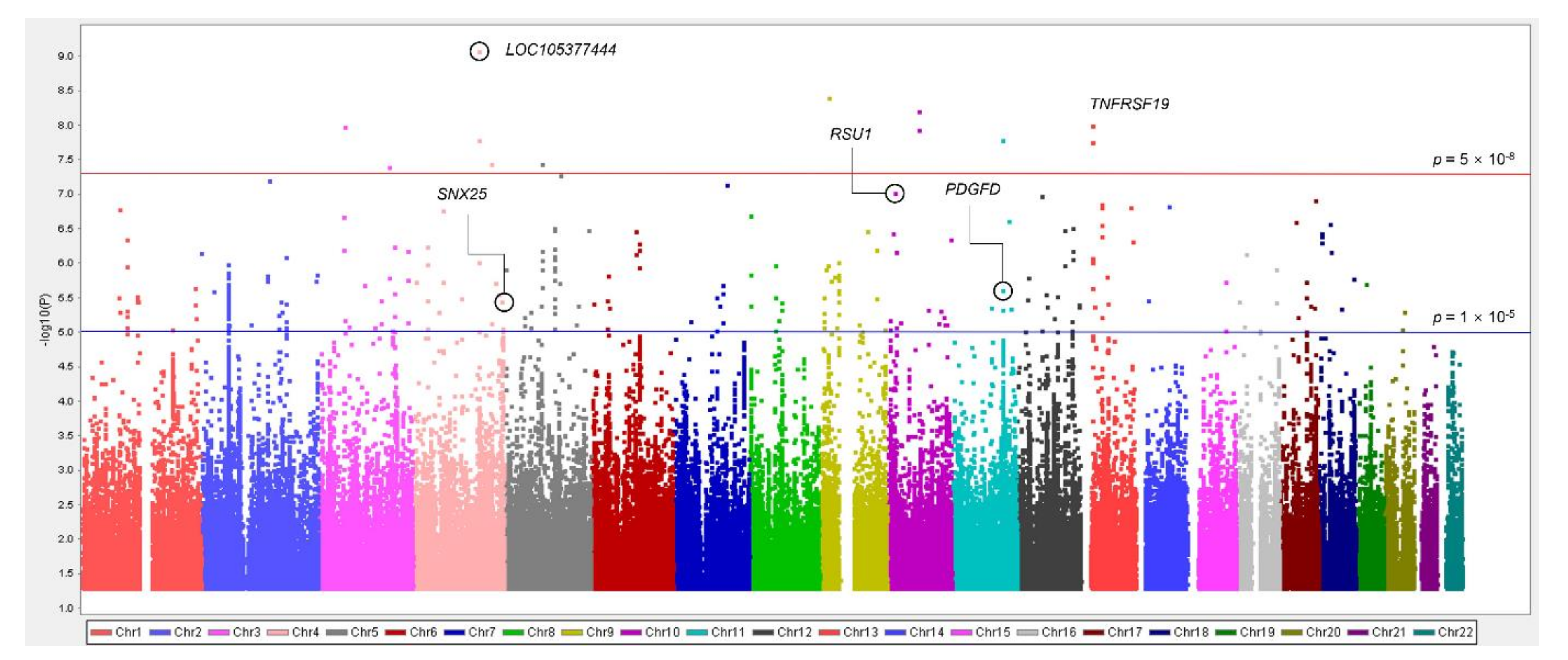 Genes 12 01905 g001 550