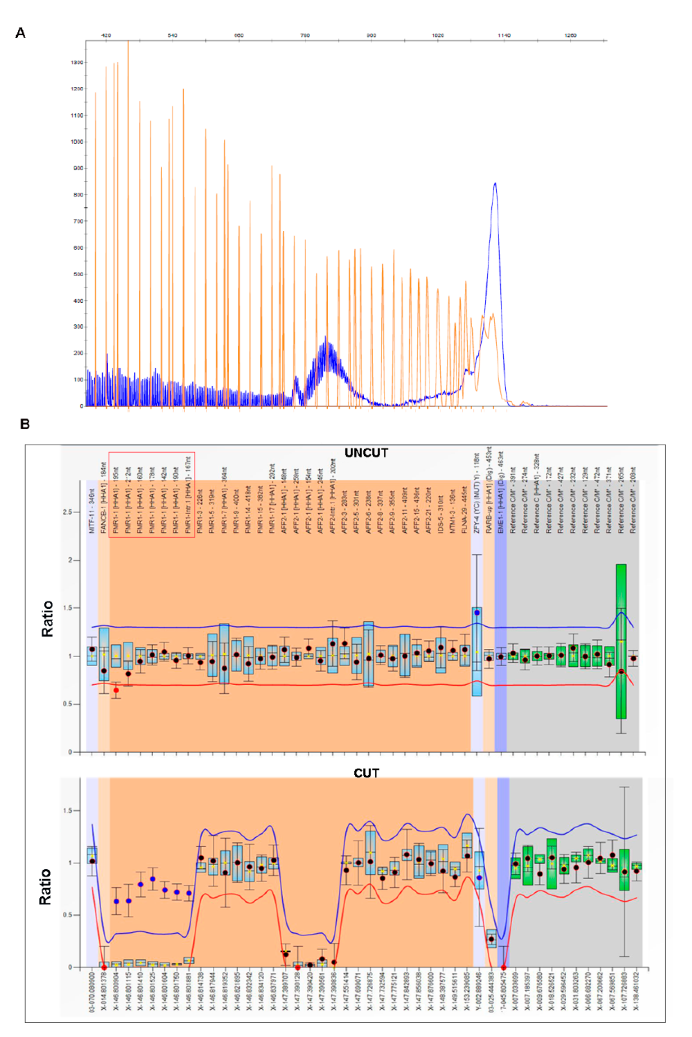 Genes 12 01909 g001 550