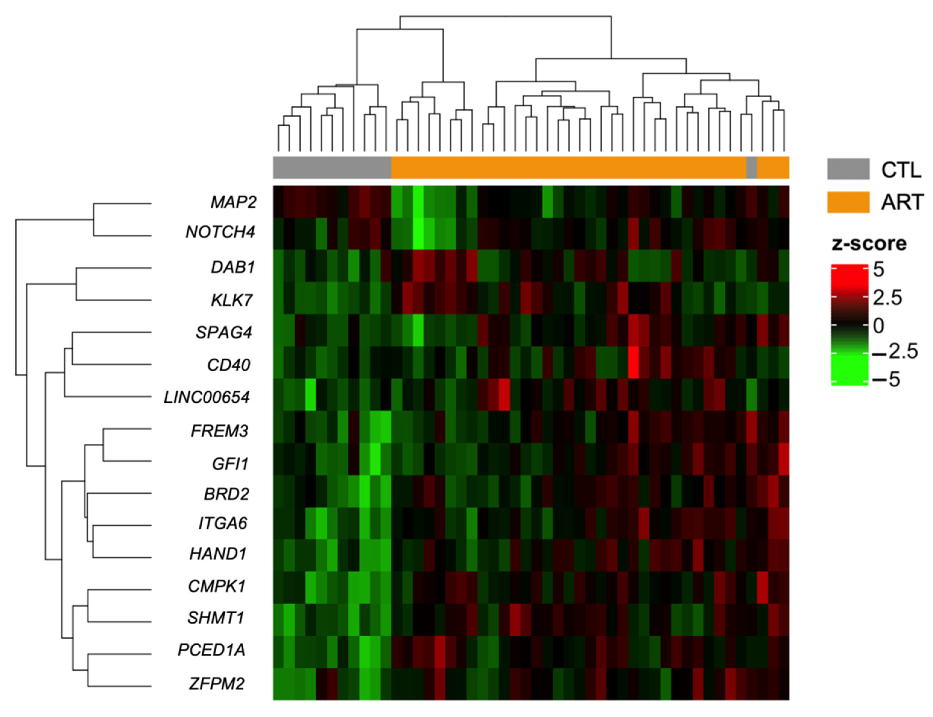 Genes 12 01912 g005