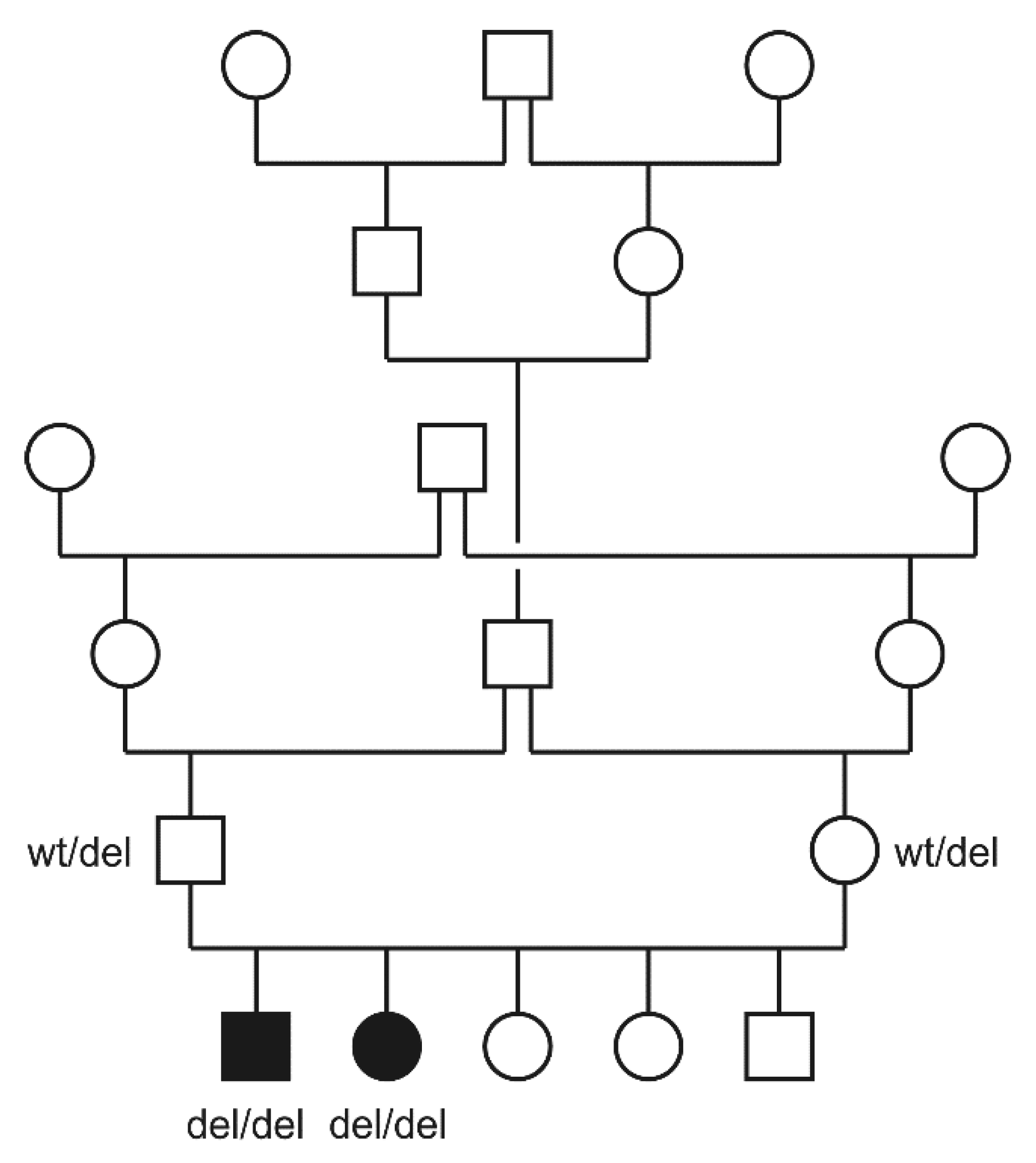 Genes 12 01923 g003