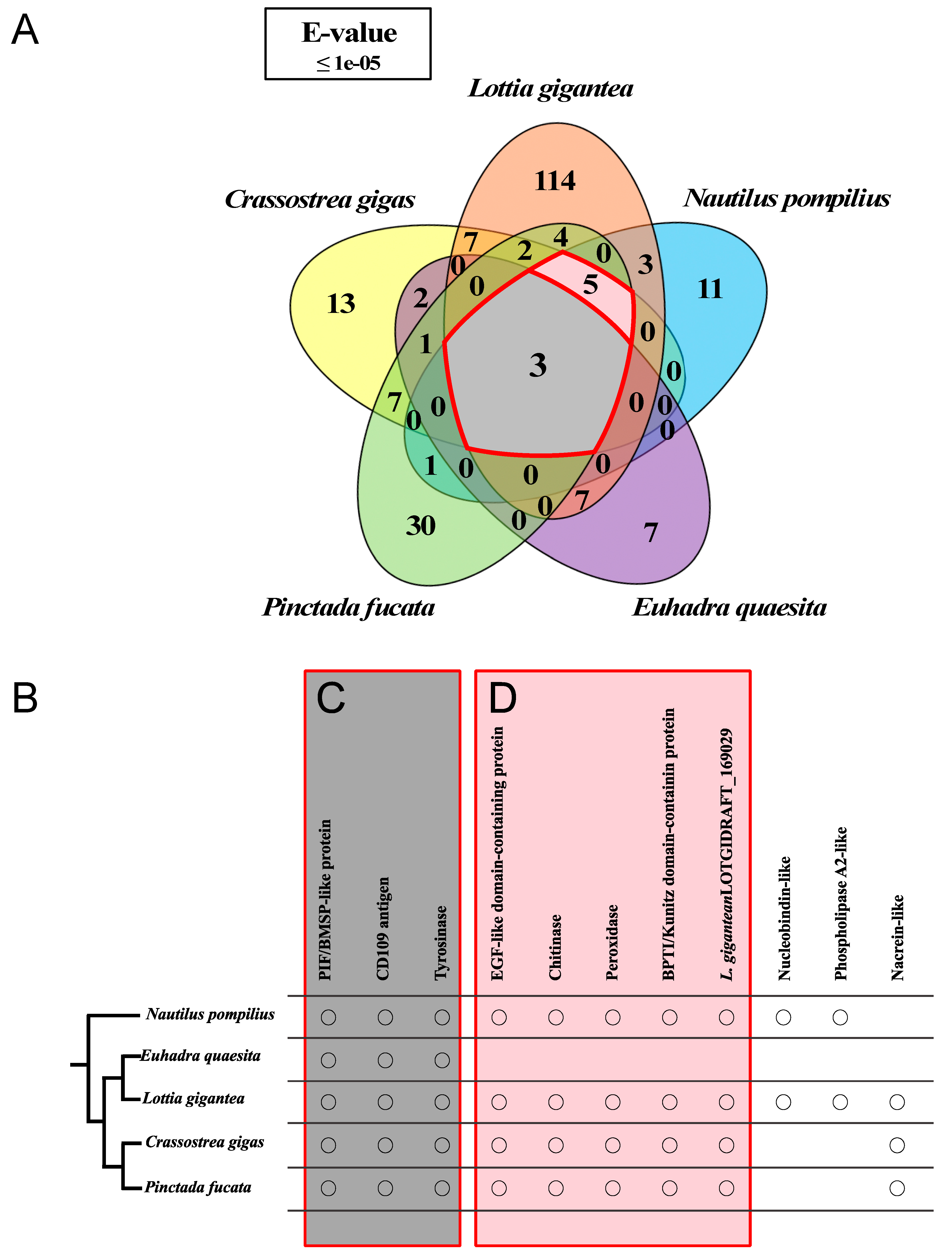 Genes 12 01925 g002