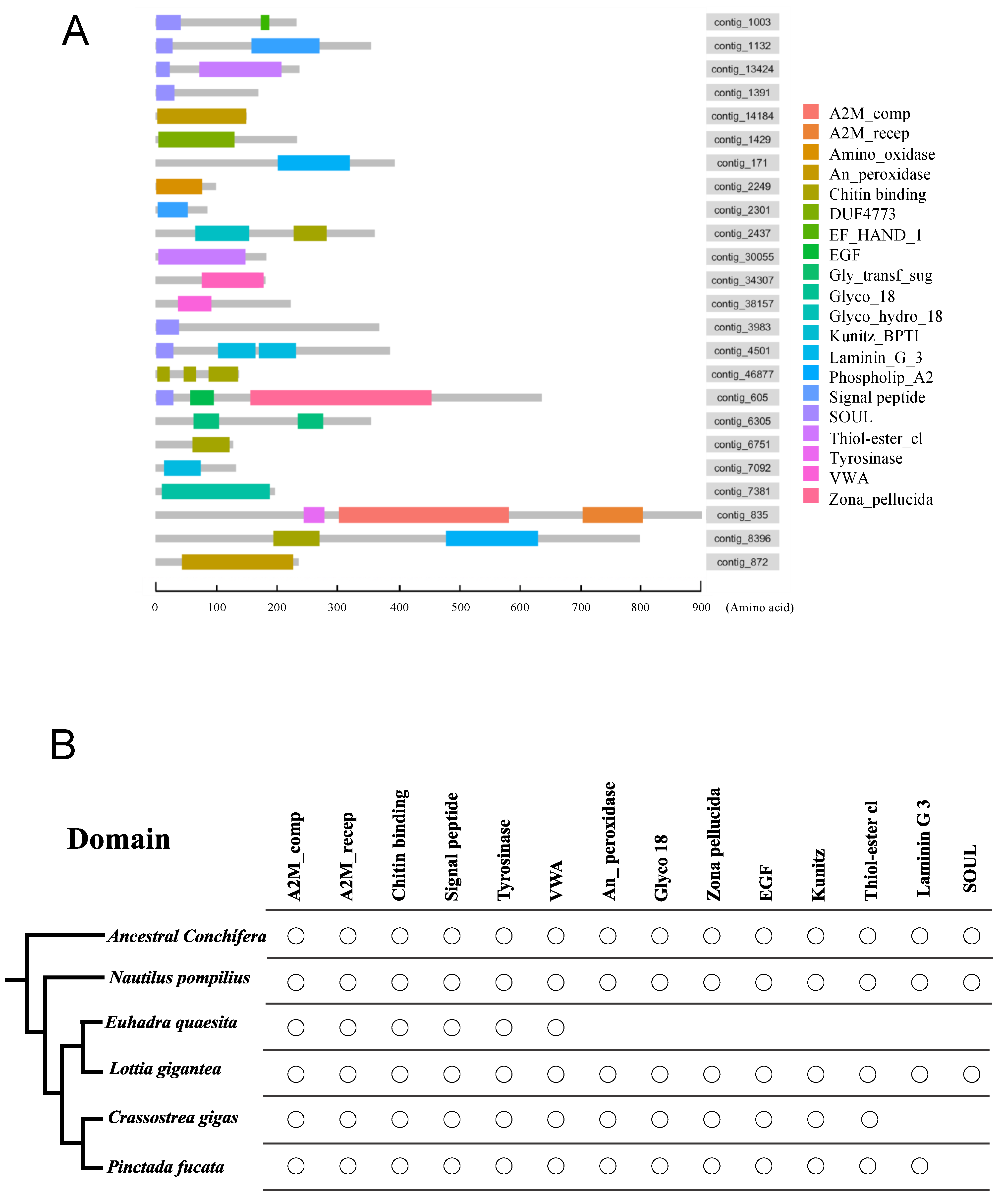 Genes 12 01925 g003