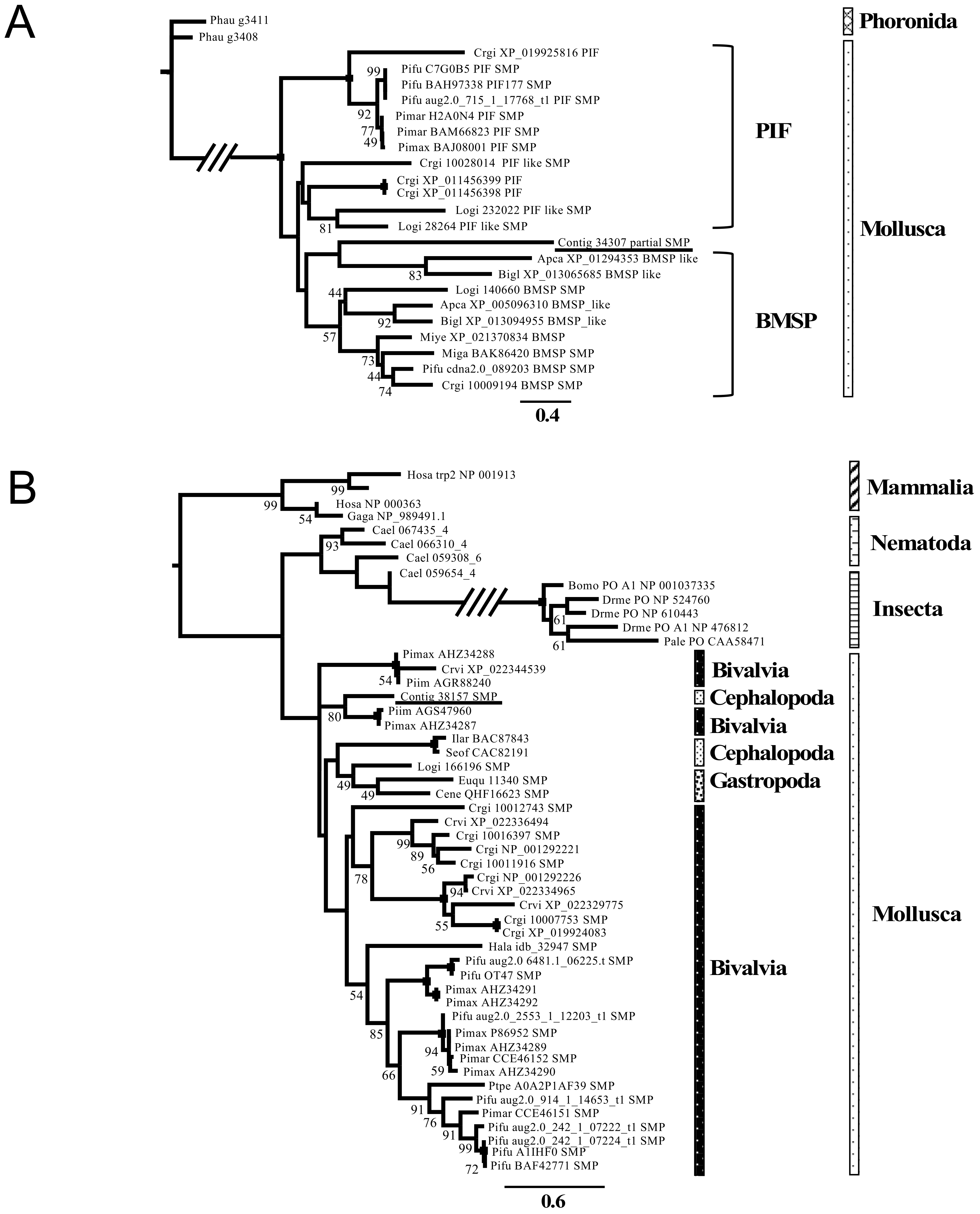 Genes 12 01925 g004