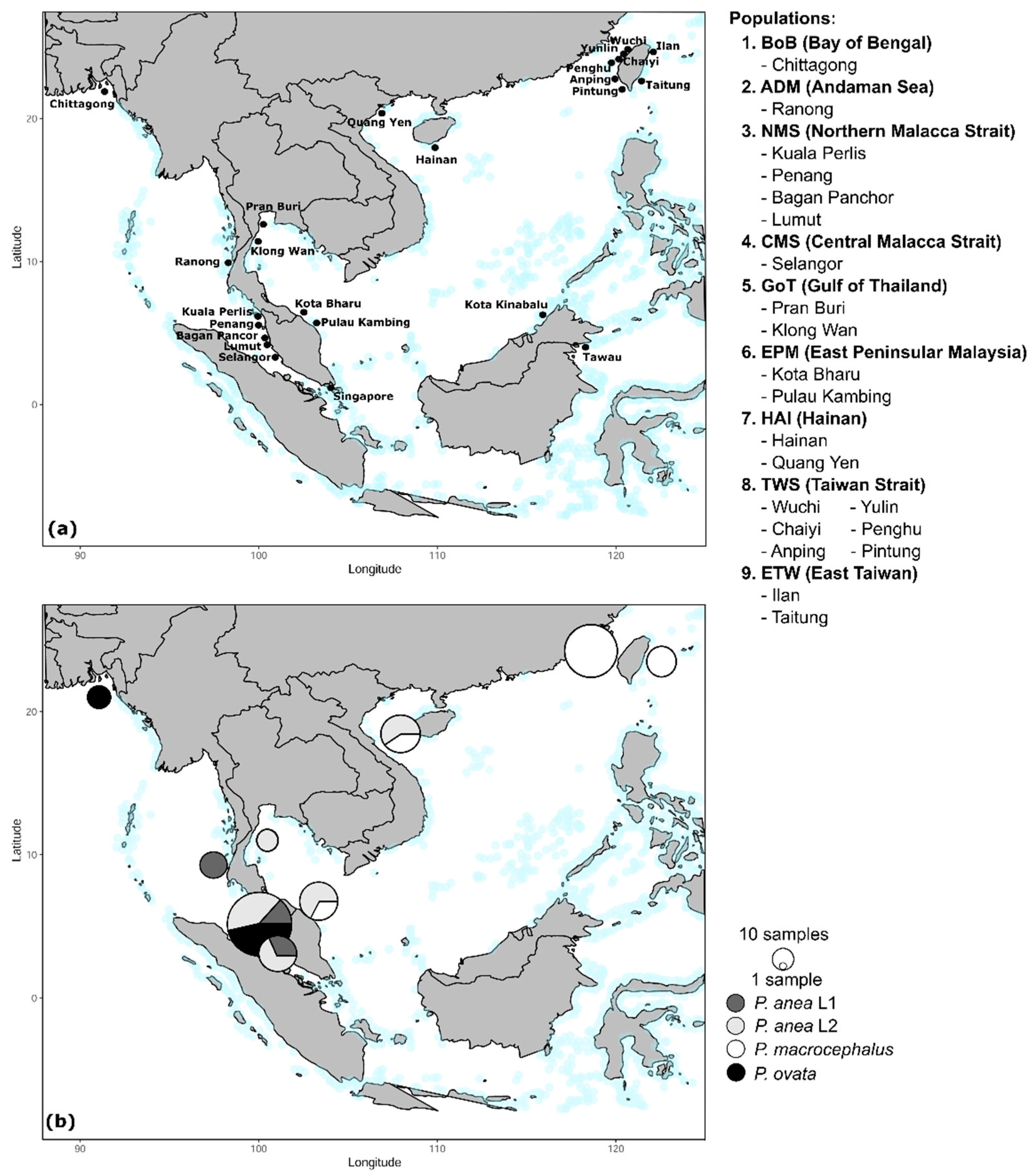Genes 12 01926 g001 Genes 12 01926 g001