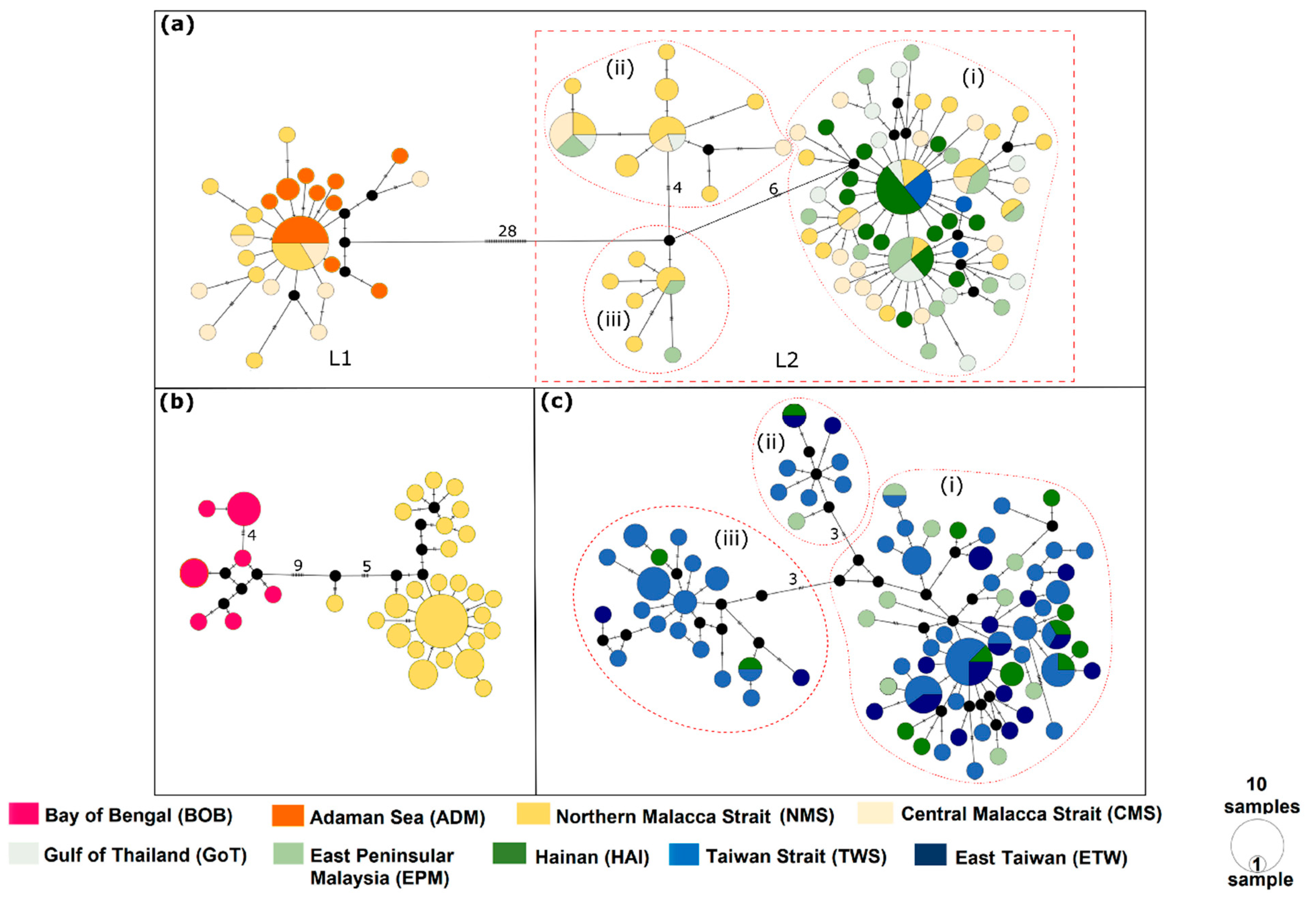 Genes 12 01926 g003 Genes 12 01926 g003