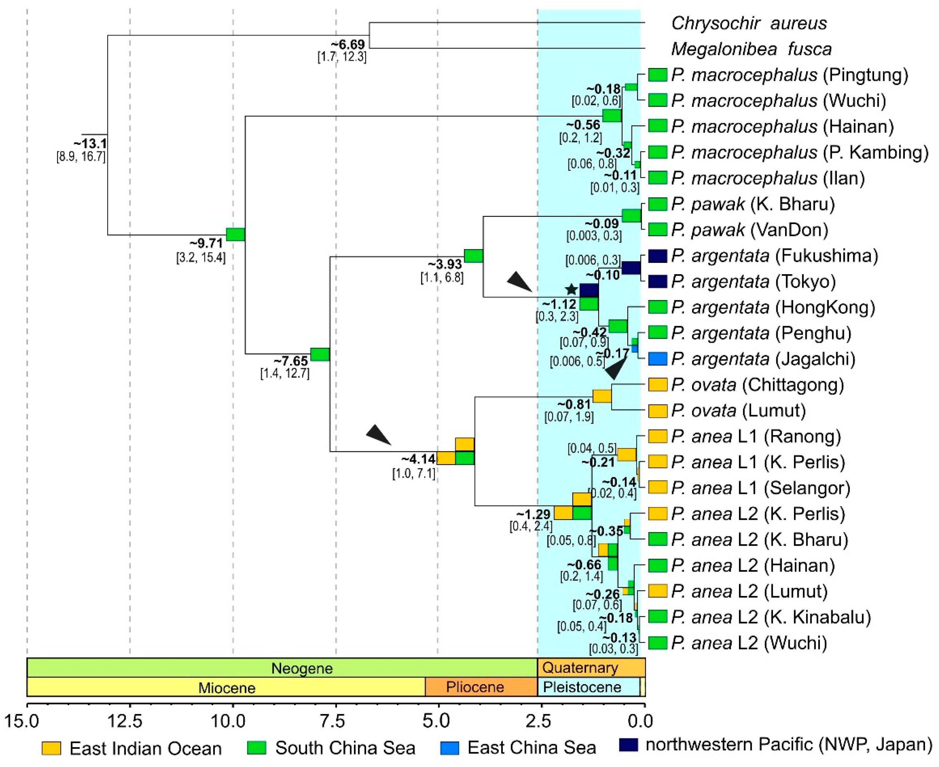 Genes 12 01926 g004 Genes 12 01926 g004