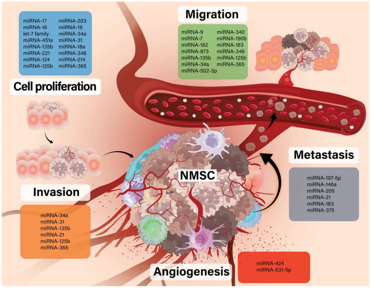 Genes 12 01929 g001 550