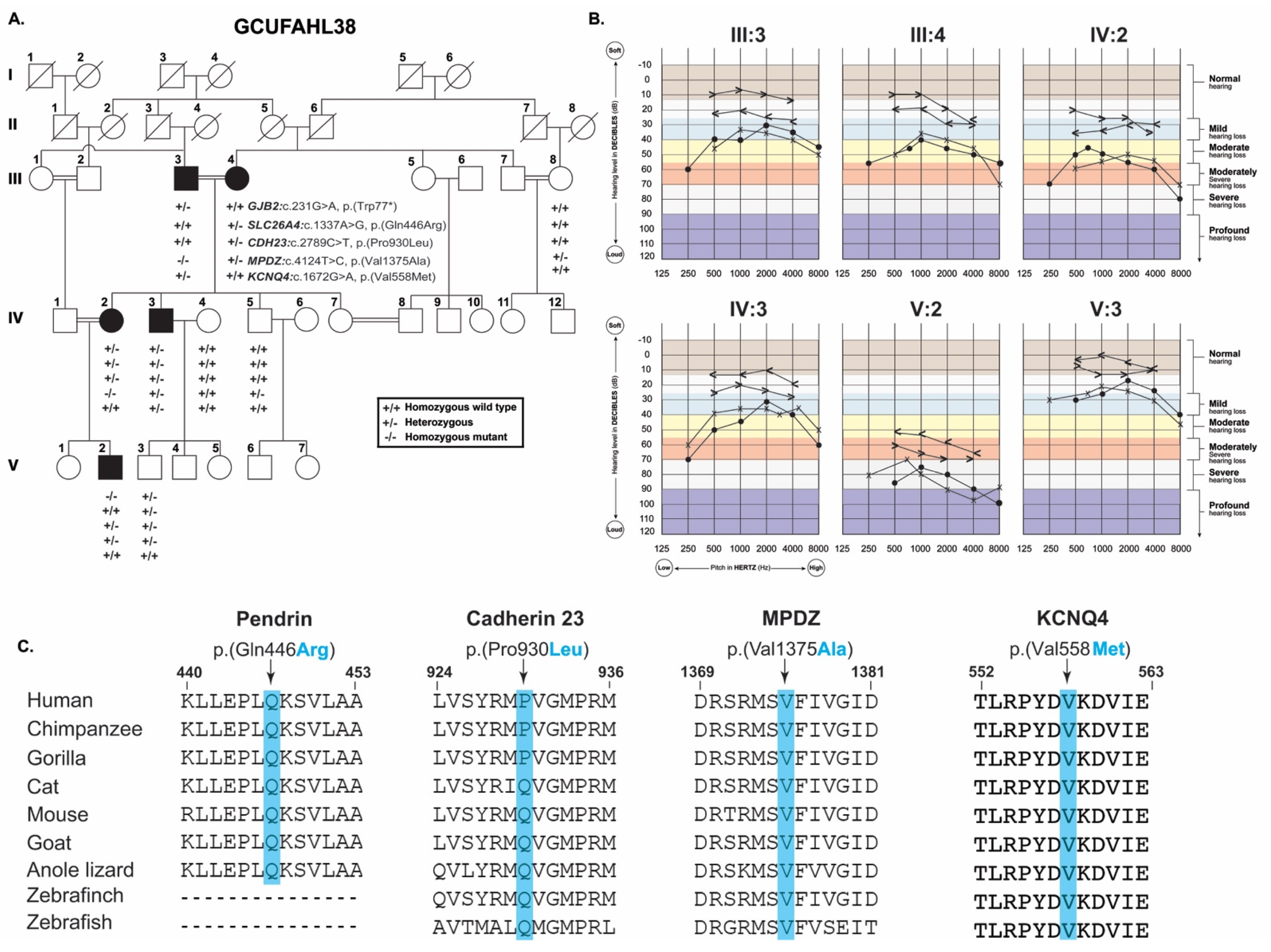 Genes 12 01940 g001 550