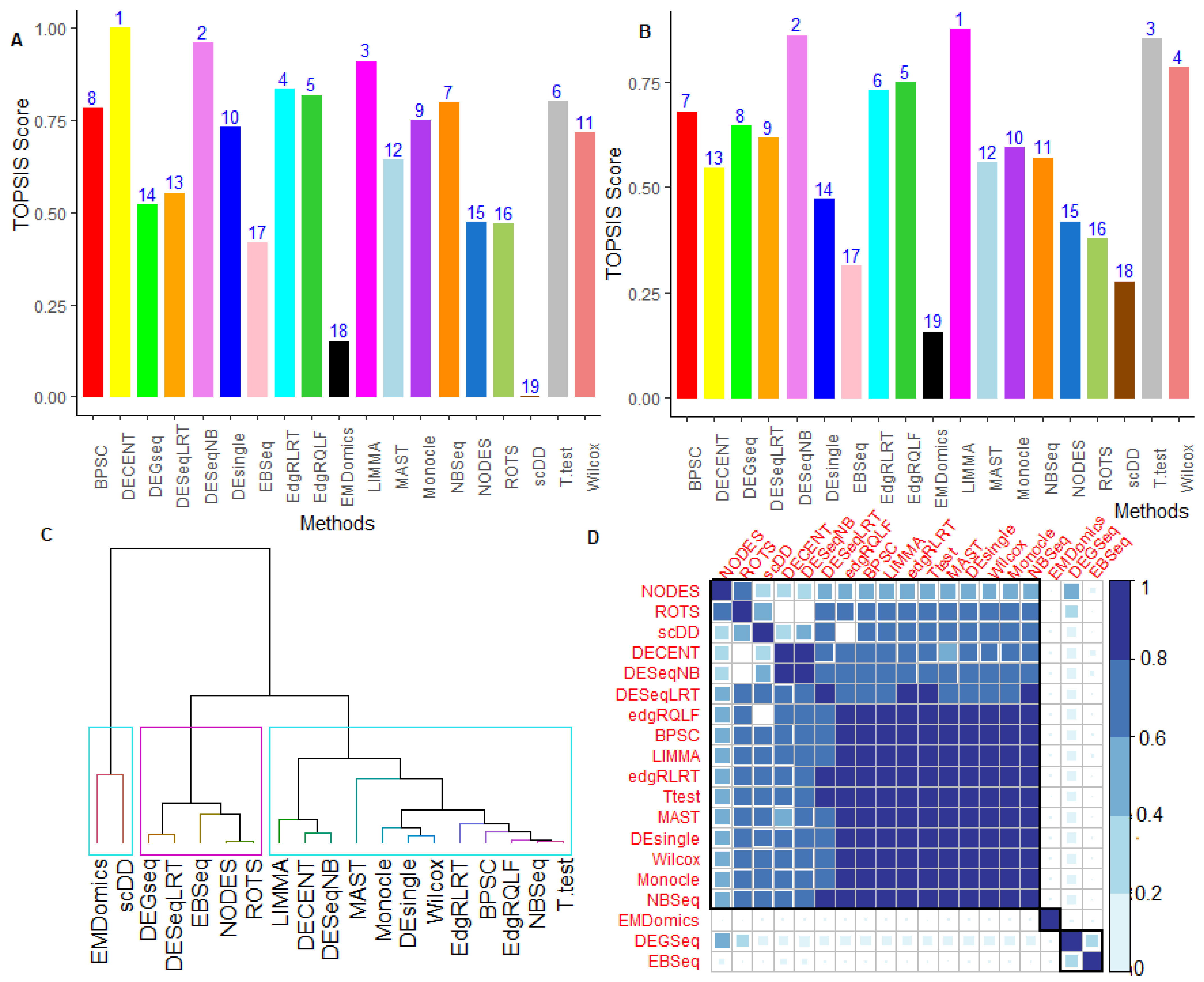 Genes 12 01947 g003