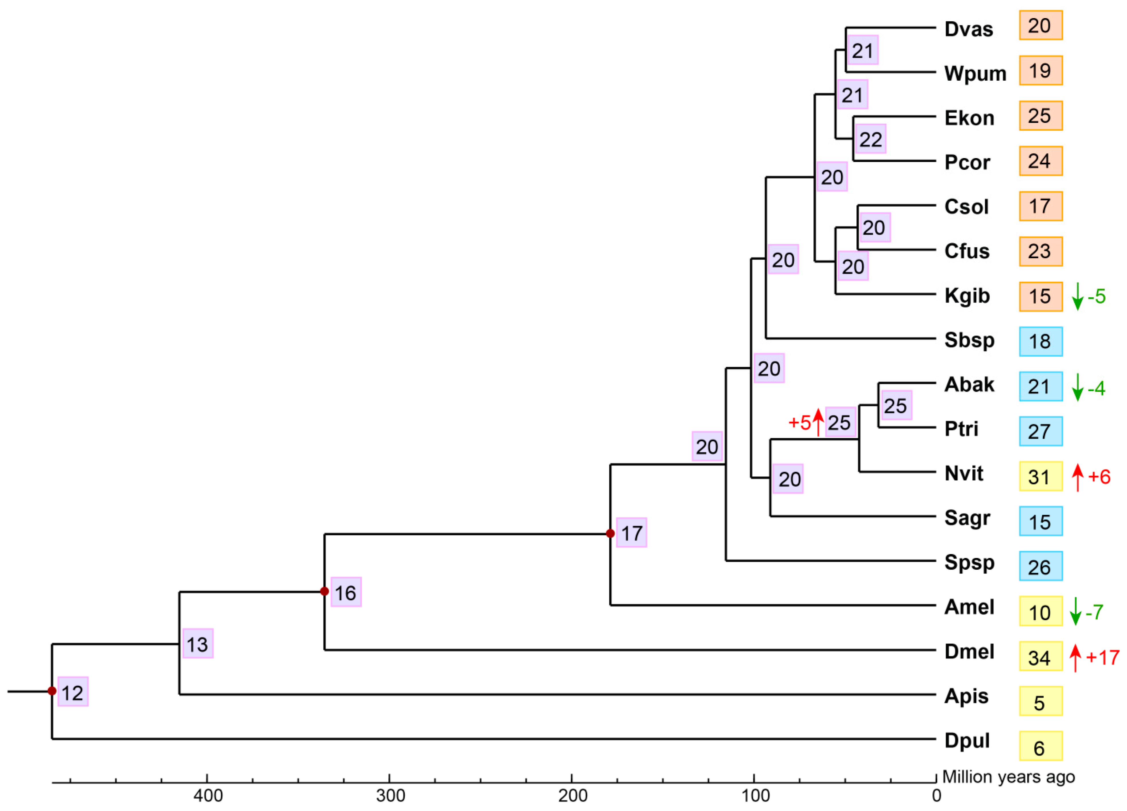 Genome-Wide Analysis of Gene Families of Pattern Recognition Receptors ...